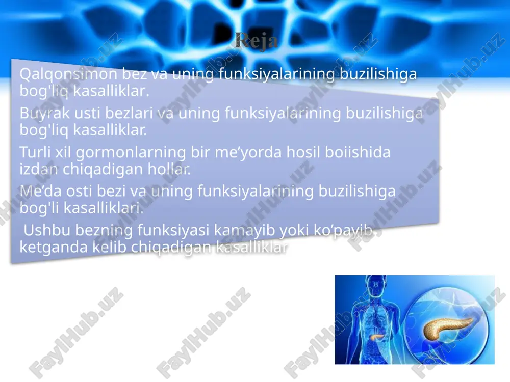 i) tireoid gormonini – normadan ortishi gipertireozni keltirib chiqaradi, va bazedova kasalligini xosil qiladi. belgilari – qalqonsimon bezning kattalashish darajasiga bog'liq. tomog'ning yon tomoni qalinlashishi va nafas olish qiyinlashadi, charchash, asabiylashish uyqusizlik, ko'p terlash, ozish, kuzatiladi. bo'qoq 11 – yuqorigi qalqon oldi bezi (o'ng va chap qismi) 12 – pastki qalqon oldi bezi (o'ng va chap qismi) bu bez to'rtta bo'lakdan iborat bo'lib, bezning orqa tomoniga yopishib turadi kattaligi (guruchdak), umumiy vazni – 0,1-0,13 gr. qalqon oldi bezlari qalqon oldi bezi – paraterioid yoki parat gormon ishlab chiqaradi. qonda kaltsiy va fosfor almashinuvini tartibga soladi. bezning gipofunktsiyasida - kaltsiy va fosfor almashinuvini pasaytiradi, nerv muskul qo'zg'aluvchanligi ortib, qovoqlar,lablar uchadi juda kamaysa soch to'kiladi, suyaklar sinuvchan bo'lib qolaldi, og'ir xollarda (tetaniya) tutqanoq tutadi. giperfunktsiyada –nerv muskul qo'zg'aluvchanligi pasayib, tana muskullari bo'shashib qoladi, umumiy xolsizlik va tez charchash kuzatiladi. yoki timus – imunitetni boshqaradi. to'sh suyagining orqa yuzasida joylashgan va jinsiy balog'atga …