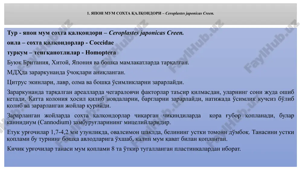qizil, 8-10 ta oq konussimon mumsimon plastinkali. yapon soxta mum qalqondori yiliga 1 ta avlod beradi. zararkunanda ko'chatlar, qalamchalar va boshqa o'simlik organlari orqali tarqaladi. yapon mum soxta qalqondori 2. anjir soxta mum qalqondori – ceroplaster rusci l. tur - anjir soxta mum qalqondori – ceroplaster rusci l. oila – soxta qalqondorlar - coccidae turkum – tengqanotlilar - homoptera bu qalqondor albaniya, gretsiya, ispaniya, italiya, portugaliya, frantsiya, yugoslaviya, isroil, iordaniya, iroq, eron, livan, suriya, turkiya, yaponiya, jazoir, misr, marokash, argentina, avstraliya, yangi zelandiya va boshqa davlatlarda tarqalgan. mdhda ro'yxatga olinmagan. anjir, uzum, tut, mandarin, apelsin, behi, shaftoli va boshqa o'simliklarni zararlaydi. tuxumi qizil rangda, uzunligi 0,5-0,6mm. lichinkalar oq yulduzchalarni eslatadi. yapon soxta mum qalqondori lichinkasidan bu zararkunanda lichinkasi, mum qatlami o'rta plastinkasida 2 ta ko'ndalang izi bilan farq qiladi. anjir soxta mum qalqondorining etuk urg'ochilari qishlab chiqadi. italiya va suriyada 1 yilda 2 ta avlod beradi. urg'ochilar 1000-1500 ta tuxum …