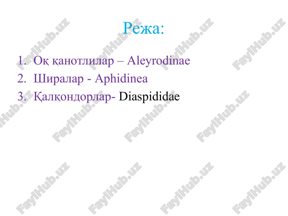 ng qaysi fazasidan boshlab uni zararlay boshlaganiga bog'liq bo'ladi. ya'ni o'simlik qanchalik erta zararlansa, shuncha ko'p hosilni yo'qotishi mumkun. bir yilda bitta yoki bir necha avlod beradi. o'zbekiston sharoitida bular 6-10 ta avlod berib, erta baxorda teplitsa va parniklardagi ekinlarga, ochiq daladagi poliz ekinlariga katta zarar etkazadi. bular tropik qit'alarda keng tarqalgan. barglar ostida yashab, uni yopishqoq (shirin) chiqindilari bilan ifloslantiradi, zamburug'lar ko'payishiga sharoit tug'diradi, bapglarning nafas olish teshiklarini berkitib qo'yadi. shiralar - aphidinea er yuzida ko'p tarqalgan mayda (0,5 mm), polimorf (koloniyali) xasharotlardir. o'simlik bitlari bazan shirinchalar deb xam ataladi. ularniig tanasi nozik (yumshoq), ko'pincha oval ko'rinishda, ba'zan shar va xatto tsilindirsimon siyrak yoki zichrok tuklar, ba'zan oq g'ubor yoki bezlar ishlab chiqargan ok mumsimon momik bilan qoplangan. rangi sarg'ish, to'q yashil, qoramtir va qora bo'lishi mumkin. mo'ylovlari 3-6 bo'g'imli, birinchi ikki bo'g'imi qisqaroq va yo'g'onroq. xartumi cho'ziq pastki labdan iborat bo'lib, uch bo'g'imlidir. ko'krak qismi oldingi, o'rta va …