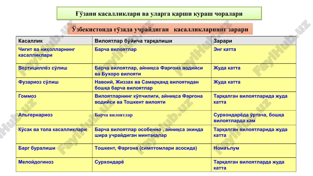 sh lozim. beda, makkajo'xori, g'alla, dukkakli va boshqa ekinlar dalani gommozdan samarali tozalaydi. bahorda chigitni nihollar unishi uchun qulay haroratda, tavsiya qilingan qisqa muddatlarda ekish, yagana paytida kasal nihollarni olib tashlash lozim. kasallikka chidamli navlar yaratish. kimyoviy usul: hozirgi paytda gommozga qarshi respublikamizda keng miqyosda qo'llanilmoqda. kasallik kuchli tarqalgan mintaqalarga bronatak va bronopol urug'dorilagichlaridan 6 kg/tonna ishlatish tavsiya etiladi. ko'proq hollarda ingichka tolali g'o'za navlarini va ba'zan o'rta tolali g'o'zalarni ham kasallantiradi. zararlangan nihol urug'barg chiqargan davrdayoq so'liy boshlab yotib qoladi, natijada nobud bo'ladi. zararlangan g'o'zaning ildiz to'qimasi to'q qo'ng'ir yoki qoramtir tusga kiradi. qora ildiz chirishining yoz oylarida ingichka tolali g'o'zalarda uchraydigan xili nihol kasallanishining davomi bo'lib, u barglarni poyadan tushib ketmasdan, poya yosh to'qimalarining birdan so'lishi bilan ta'riflanadi. qora ildiz chirishining ekinga asosiy salbiy ta'sirlari – nihollar ildiz tarmog'i faoliyatini buzilishi tufayli ularni bo'yi past, nimjon bo'lib qolishi, o'sish va rivojlanishdan kechikishi, hosil pishishi 3-4 haftagacha orqada qolishi …