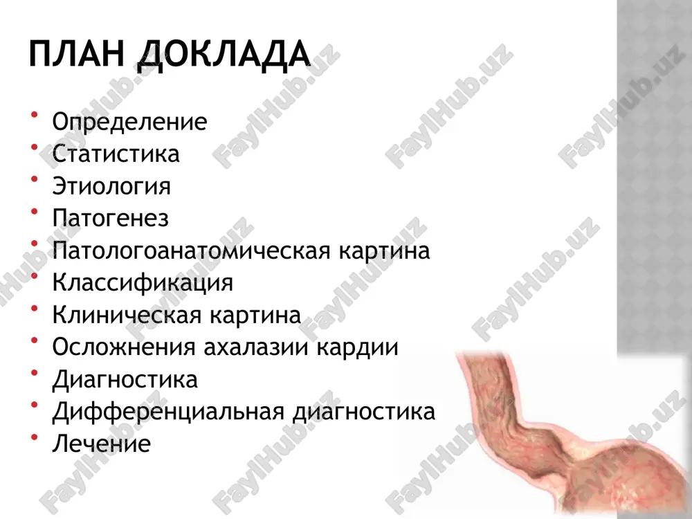 slide39.xml ppt/slides/slide38.xml ppt/slides/slide37.xml ppt/slides/slide43.xml ppt/slides/slide44.xml ppt/slides/slide45.xml ppt/slides/slide30.xml ppt/slides/slide31.xml ppt/slides/slide32.xml ppt/slides/slide33.xml ppt/slides/slide34.xml ppt/slides/slide11.xml ppt/slides/slide9.xml ppt/slides/slide1.xml ppt/slides/slide2.xml ppt/slides/slide3.xml ppt/slides/slide4.xml ppt/slides/slide10.xml ppt/slides/slide6.xml ppt/slides/slide8.xml ppt/slides/slide5.xml ppt/slides/slide7.xml ppt/slidemasters/slidemaster1.xml ppt/slidelayouts/slidelayout6.xml ppt/slidemasters/_rels/slidemaster1.xml.rels ppt/slidelayouts/slidelayout8.xml ppt/slidelayouts/slidelayout7.xml ppt/slidelayouts/slidelayout4.xml ppt/slidelayouts/slidelayout3.xml ppt/slidelayouts/slidelayout2.xml ppt/slidelayouts/slidelayout1.xml ppt/slidelayouts/_rels/slidelayout11.xml.rels ppt/slidelayouts/slidelayout5.xml ppt/slidelayouts/slidelayout9.xml ppt/slidelayouts/slidelayout11.xml ppt/slidelayouts/_rels/slidelayout4.xml.rels ppt/slidelayouts/_rels/slidelayout3.xml.rels ppt/slidelayouts/_rels/slidelayout2.xml.rels ppt/slidelayouts/_rels/slidelayout1.xml.rels ppt/slidelayouts/slidelayout10.xml ppt/slidelayouts/_rels/slidelayout5.xml.rels ppt/slidelayouts/_rels/slidelayout7.xml.rels ppt/slidelayouts/_rels/slidelayout6.xml.rels ppt/slidelayouts/_rels/slidelayout10.xml.rels ppt/slidelayouts/_rels/slidelayout8.xml.rels ppt/slidelayouts/_rels/slidelayout9.xml.rels ppt/theme/_rels/theme1.xml.rels ppt/theme/theme1.xml ppt/media/image1.jpeg ppt/media/image5.jpeg ppt/media/image16.jpeg ppt/media/image17.jpeg ppt/media/image18.jpeg ppt/media/image19.jpeg ppt/media/image20.jpeg ppt/media/image21.jpeg ppt/media/image22.jpeg ppt/media/image23.jpeg ppt/media/image15.jpeg ppt/media/image14.jpeg ppt/media/image13.jpeg ppt/media/image6.jpeg ppt/media/image8.jpeg ppt/media/image9.jpeg ppt/media/image10.jpeg ppt/media/image11.jpeg ppt/media/image3.jpeg ppt/media/image25.jpeg ppt/media/image36.jpeg ppt/media/image37.jpeg ppt/media