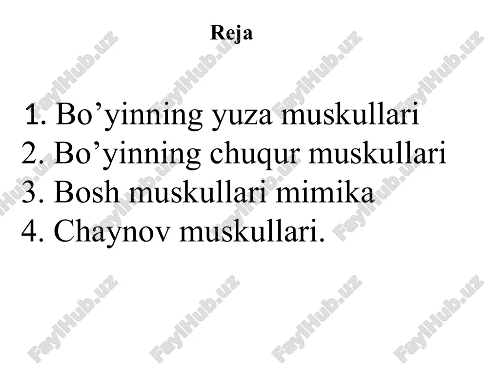 sticus bigzsimon o’simta-m stehiladeus qalqonsim to’g’ay til osti orasidagi m m.tirahiedeus kurak til osti m-m.omahedius m.sterna tiedeus to’sh til osti m. m.sterna hiedeus iii-vi bo’yin umurtqalarining ko’ndalang o’siqlaridan, i-qovurg’aning tepa yuzasiga barcha bo’yin umurtqalarining ko’ndalang o’siqlaridan, 1-qovurg’aning tepa yuzasiga v-vi boy’in umurtqalaridan, ii qovurg’alarming tashqi yuzasiga yopishadi ii-vi bo’yin umurtqalari tanasini egallab yotadi, old tomoni qizl o’ngach va halqum b,n yopilib turadi iii-vi bo’yin umurtqalaridan boshlanib, ensa suyagiga yopishadi yuqorida keltirilgan muskullarning ostida ensa suyagi b,n i bo’yin umurtqasi oralig’ida joylashgan chuqr muskullar oldingi narvonsimon o’rtadagi narvonsimon orqadagi narvonsimon bo’yinning uzun m boshning uzun m boshning oldingi va yon tomonidagi m orqa m.pasterior o’rta m.medius oldingi,m.anterior bo’yinnig uzun m m.longus colli m.longus capitis 1-2 bo’yin umurtqalaridan ensa suyagiga birikadigan muskullar guruhi bor bular boshning yuqori qishq m. m.ablicis capits supperior kallaning katta to’g’ri m. m,rector capitis mayor kallaning kichk to’g’ri m. m,rector capitis minor boshning pastki qishq m. m.ablicis capits …