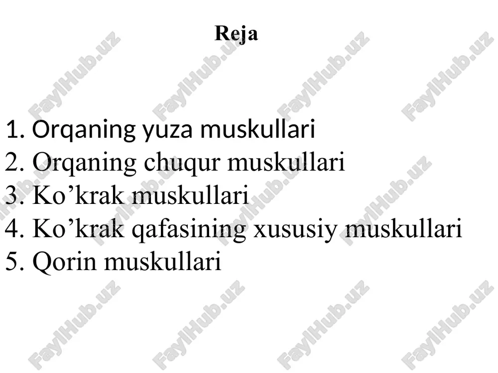 chk to’g’ri orqaning chuqur muskullari lateral tutam umurtqa pog’anasini tiklovchi muskul 1, dumg’azaning orqa sathidan 2, bel umrtqalarining ko’ndalang o’siqlaridan, 3, yonbosh suyagining tashqi qirrasidan, 4, kurak bel fassiyasidan boshlanib. yuqoriga ensa suyagigacha kirb boradi yonbosh qovurg’a asosan qovurg’alarga yopishadi qirrali muskul qirrali o’siqlar ustida joylashgan b/b umurtqalarning qirrali o’siqlariga birikadi uzun muskul umurtqalarning ko’ndalang o’siqlariga yopishadi * tanani ko’taruvchi muskul-musculus erecter spine musculus ilia costalis musculus langissimus uzun muskul tanani tiklovchi m musculus spinalis qirrali muskul medial trakt 1 qancha mayda muskullardan tuzilgan ko’ndalang qirrali umurtqalarning ko’ndalang o’siqlaridan boshlanib, yuqoriga yonaladi, umurtqalarning qirrali o’siqlariga yopishadi orqa fassiyasi teri ostida yuza joylashgan, orqaning yuza va trapetsiyasimon va orqaning serbar muskullari ustidan o’raydi qirralar aro ikkita yonma yon joylashgan umurtqalarning qirrali o’siqlari orasida joylashgan bo’yin va boshning tasma muskuli pastki 5 ta bo’yin yuqori 6 ta kokrak umurtqalarining qirrali osiqlaridan boshlanib ensa va chakka suyagi sorg’ichsimon o’sig’iga yopishadi boshning orqa katta …