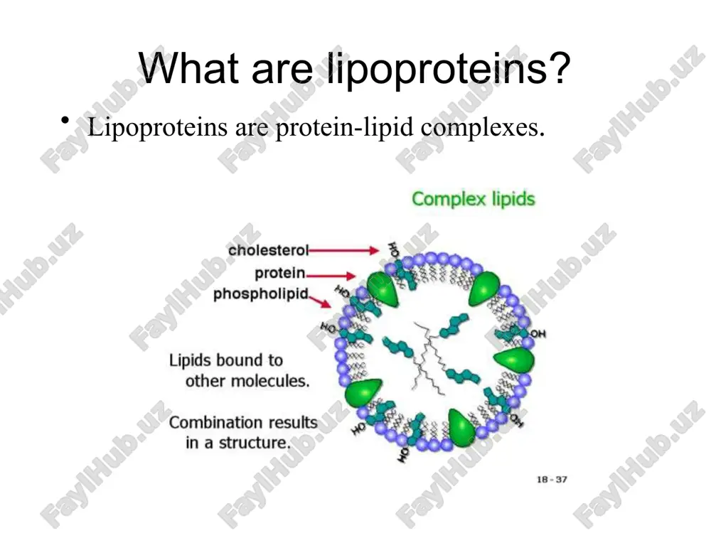 ein metabolism exogenous/chylomicron pathway (dietary fat) endogenous pathway (lipids synthesized by the liver) hdl metabolism (apolipoprotein transfer, cholesteryl ester transfer, reverse cholesterol transport lipoprotein metabolism exogenous/chylomicron pathway (dietary fat) endogenous pathway (lipids synthesized by the liver) hdl metabolism (apolipoprotein transfer, cholesteryl ester transfer, reverse cholesterol transport surface monolayer phospholipids (12%) free cholesterol (14%) protein (4%) hydrophobic core triglyceride (65%) cholesteryl esters (8%) tg rich: vldl cholesterol and atherosclerosis, grundy) 11 vldl contain 60-70% triglycerides produced by the liver transport endogenously synthesized triglycerides to peripheral tissues vldl metabolism cholesterol and atherosclerosis, grundy) apo c’s and apoe and cholesteryl ester are acquired from hdl in circulation fatty acid transport cholesterol and atherosclerosis, grundy) apoc-ii activates lipoprotein lipase which catalyses the hydrolysis of tg vldl conversion to ldl cholesterol and atherosclerosis, grundy) further action on idl by hepatic lipase loses additional apolipoproteins (apoe) becomes and is converted to ldl surface monolayer phospholipids (25%) …