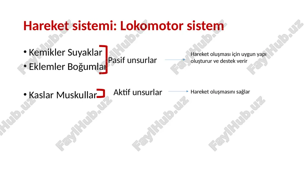 slidemasters/_rels/slidemaster1.xml.rels ppt/slidelayouts/_rels/slidelayout12.xml.rels ppt/slidelayouts/_rels/slidelayout10.xml.rels ppt/slidelayouts/slidelayout9.xml ppt/slidelayouts/slidelayout8.xml ppt/slidelayouts/slidelayout7.xml ppt/slidelayouts/slidelayout6.xml ppt/slidelayouts/slidelayout5.xml ppt/slidelayouts/slidelayout4.xml ppt/slidelayouts/slidelayout3.xml ppt/slidelayouts/slidelayout2.xml ppt/slidelayouts/slidelayout1.xml ppt/slidelayouts/slidelayout10.xml ppt/slidelayouts/slidelayout11.xml ppt/slidelayouts/slidelayout12.xml ppt/slidelayouts/_rels/slidelayout1.xml.rels ppt/slidelayouts/_rels/slidelayout2.xml.rels ppt/slidelayouts/_rels/slidelayout3.xml.rels ppt/slidelayouts/_rels/slidelayout4.xml.rels ppt/slidelayouts/_rels/slidelayout5.xml.rels ppt/slidelayouts/_rels/slidelayout6.xml.rels ppt/slidelayouts/_rels/slidelayout9.xml.rels ppt/slidelayouts/_rels/slidelayout8.xml.rels ppt/slidelayouts/_rels/slidelayout7.xml.rels ppt/slidelayouts/_rels/slidelayout11.xml.rels ppt/notesmasters/_rels/notesmaster1.xml.rels docprops/thumbnail.jpeg ppt/notesmasters/notesmaster1.xml ppt/media/image16.jpeg ppt/media/image14.jpeg ppt/media/image13.jpeg ppt/media/image18.png ppt/media/image12.png ppt/media/image11.jpeg ppt/media/image10.jpeg ppt/media/image1.jpg ppt/theme/theme2.xml ppt/theme/theme1.xml ppt/media/image4.jpg ppt/media/image9.jpeg ppt/media/image47.png ppt/media/image31.png ppt/tablestyles.xml ppt/presprops.xml ppt/viewprops.xml ppt/media/media2.mp4 ppt/media/media3.mp4 docprops/core.xml ppt/media/media1.mp4 docprops/app.xml ppt/media/image15.png ppt/media/image17.png ppt/media/image19.png ppt/media/image2.png ppt/media/image20.png ppt/media/image21.png ppt/media/image22.png ppt/media/image23.png ppt/media/image24.png ppt/media/image25.png ppt/media/image26.png ppt/media/image27.png ppt/media/image28.png ppt/media/image29.png ppt/media/image3.png ppt/media/image30.png ppt/media/image32.png ppt/media/image33.png ppt/media/image34.png ppt/media/image35.png p