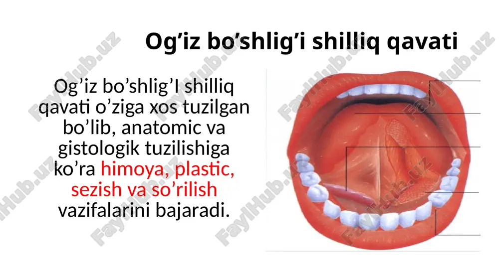 da tam bilish hissi yo’qoladi. tashxis qo’yishda gistologik va sitologik usullardan foydalaniladi. mahalliy davolash og’iz sonatsiyasidan boshlanadi. so’ng vitamin e, 3,4 % retinol atsetat, 5,5% retinol patmitat yog’li eritmasi, solkoseril dental adgeziv pastasi bilan kuniga 3-4 marta o’tkazilishi lozim. paradont kasalligi paradont grekcha so’zdan olingan bo’lib, tish atrofidagi to’qimalar degan ma’noni anglatadi. paradontit bu tish atrofidagi to’qimalarni tur xil ta’sirlar natijasida yuzaga keladigan yallig’lanish kasalligi hisoblanadi. klinikasi paradontit kelib chiqishida asosan tishlarda yig’ilgan karashlar, toshlar, chekish, imunitet susayishi, yoki mehanik travmalar natijasidayam bo’lishi mumkin. kasallik belgilari tishlarni tozalaganda yoki ovqat yegan vaqtida milklarni qonashi, og’izning yoqimsiz hidlanishi, og’iz bo’shlig’ida yoqimsiz tam, tishlarni tushib qolishi bo’ladi. paradontitni o’ziga xosligi milklarni yallig’lanishi og’riqsiz kechadi. tashxis qo’yishda tishlar paradontogramma qilinadi va tishlar bilan milklar orasidagi oraliq o’lchanadi. davolash paradontit bakteriya natijasida rivojlanib boruvchi kasallik bo’lgani uchun tishlar ildizi pulpa bilan birga antibiotic terapiya qilinadi. agar paradontit milk haltasidan 5 mm dan chuqurroq tarqalgan …
