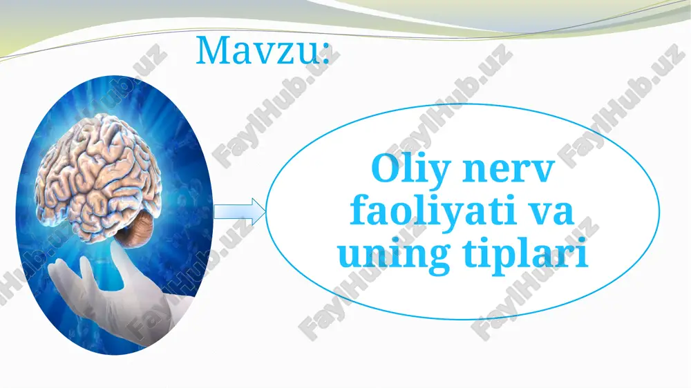 jralishi ovqatga nisbatan,ko’zlarni yot narsa kirganda pirpirashi,yo’talish. hayot faoliyat natijasida paydo bo’ladi. aniq bir individning o’zigagina tegishli o’zgarishi,yo’qalishi mumkin. misollar; og’zaki,yozma nutqning shakllanishi,kerakli bilimlarni o’zlashtirish pavlov odam oliy nerv faoliyati tiplarini 1chi va 2chi signali i.p. pavlov turli hayot vaziyatda odam va hayvonlarda shartli reflektor faoliyat xususiyatlarini o`rganib oliy nerv faoliyati tiplari xaqidagi ta`limotni yaratdi. bu ta`limot ilm va xalq xujaligining turli sohalarining vakillarini nerv sistemani funktsional xolatiga faol, ijodiy, ongli ta`sir etish imkonini berdi. i.pavlov nerv sistemaning tipi deganda nerv sistemaning individual xususiyatlarini tushunadi. pavlov odam oliy nerv faoliyati tiplarini 1chi va 2chi signali birinchi signal sistemasi ikkinchi signal sistemasi eshitish ko’rish hid bilish ta’m bilish og’zaki nutq yozma nutq pavlov fikricha, hatto yuqori darajada rivojlangan hayvonlar (it, maymun)ning oliy nerv faoliyati asosan, hayvonlar bilan odamda umumiy boʻlgan birinchi signal sistemasining xilma-xil va turli-tuman shartli reflekslar yigindisidan iborat. ko`rish ta`m bilish hid bilish nutqning asta-sekin rivojlanishiga qaramasdan birinchi signal …
