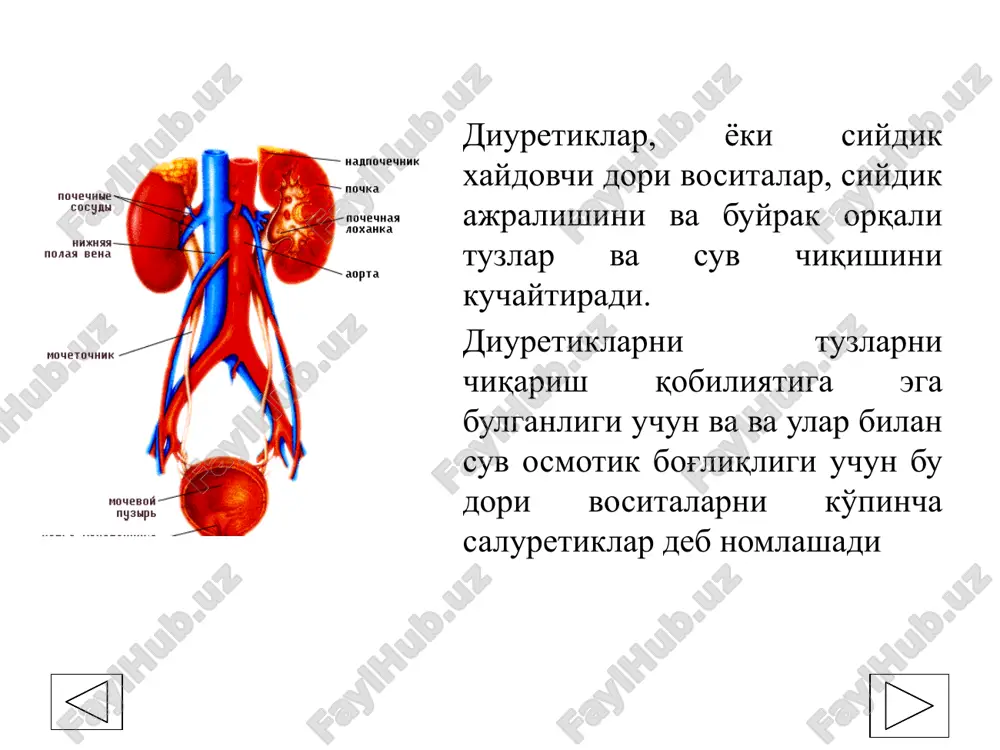 xanizmi bo'yicha tasnifi . 1. buyrak naychalari xujayralari satxida ta'sir beradigan vositalar. 1.1. apikal membrana satxida ta'sir beradigan vositalar. 1.1.1. natriy olib o'tuvchiga raqobatlashadigan, yoki aldosteronning raqobatlashmaydigan antagonistlari — triamteren, amilorid. 1.1.2 aldosteronning raqobatlashadigan antagonistlari — spironolakton, eplerenon. 1.2. bazal membrana satxida ta'sir beradigan vositalar 1.2.1. karboangidraza ingibitorlari — diakarb. 1.2.2. tiazidli diuretiklar — gidroxlortiazid, tsiklometiazid. 1.2.3. tiazidsimon diuretiklar — xlortalidon, klopamid, indapamid. 1.2.4. xalqali diuretiklar — furosemid, etakrin kislota, bumetonid, torasemid. 2. osmotik faol diuretiklar — mannit, mochevina. 3. buyraklarda qon aylanishini kuchaytiradigan vositalar — fakultativ diuretiklar-ksantinlar, aminofillin, eufillin , yurak glikozidlari va h.k. 4. dorivor o'simliklar - dala qirqbo'g'ini, archagul barglari, qayin kurtagi, ortosifon barglari, brusnika barglari, o'rmon er tuti mevasi, makkajo'xori popugi va h.k. diuretiklarni ta'sir berish kuchi bo'yicha tasnifi 1. kuchli siydik xaydovchi vositalar— furosemid (laziks), torasemid (torsid, trifas), etakrin kislota (uregit), klopamid (brinaldiks), osmodiuretiklar (mannit, mochevina) i dr. 2. o'rta kuchli siydik xaydovchi vositalar— tiazidlar: …