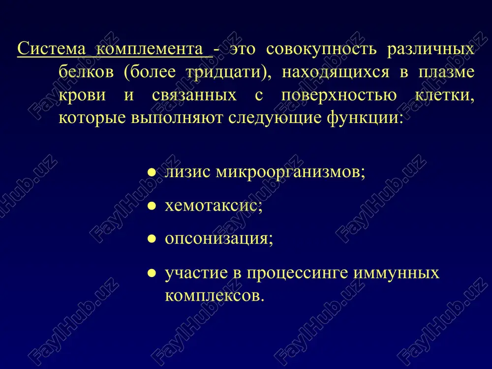 imi molekul mejkletochnoy adgezii, ix xemotaksis; aktivatsiyu monotsitov ( sekretsiya il-4 i il-6); degranulyatsiyu tuchnix kletok i bazofilov. opsonizatsiya i protsessing immunnix kompleksov s3b i s4b, kovalentno svyazivayas s poverxnostyu bakteriy i immunnimi kompleksami, delayut ix ligandami dlya cr1(cd35) – retseptora komplementa na fagotsitarnix kletkax, obespechivaya tem samim ochistku krovi. cr1 ekspressirovan na eozinofilax, neytrofilax, monotsitax, makrofagax, v-limfotsitax i… eritrotsiti nesut immunnie kompleksi v pechen i v selezenku, gde v osnovnom i proisxodit ix protsessing. eritrotsitax. vivodi: lizis, opsonizatsiya, xemotaksis - vot te tri kita, na kotorix zijditsya deystvie komplementa.