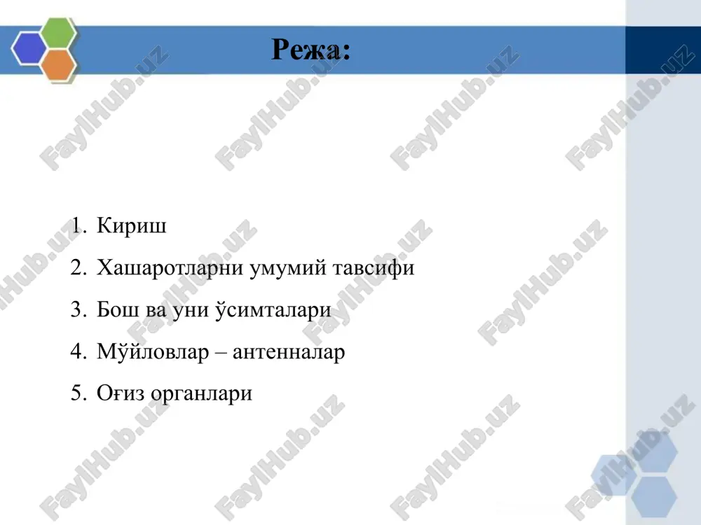 sh yonboshlarida joylashgan ko'zlar osti va yonboshlari lunj (genae) deb ataladi. boshni gavdaga qo'shgan halqasimon yumshoq qismi bo'yin (collum) deb, bo'yin bilan og'iz organi o'rtasidagi ostki qismi tomoq (gula) deb ataladi. boshning orqa tomonida,ya'ni ko'krak qismida yotgan ichki organlar o'tadigan joyda ensa teshigi (foramen) bo'ladi. bosh qismining tuzilishi va uning o'simtalari bosh qismining tuzilishi va uning o'simtalari hasharotlar bosh qismida bo'g'imlarga bo'lingan va turli ko'rinishdagi bir juft mo'ylov yoki antennalar bo'lishi hasharotlarga hos xarakterli belgilardan biridir. faqat mo'ylovsizlar turkumining vakillarida mo'ylov bo'lmaydi. hasharotlarning mo'ylovlari hid bilish va sezish funktsiyasini bararuvchi organlardir. ular peshonaning ikki yonidagi ko'zlar orasida yoki uning oldidagi chuqurchalarda joylashgan. har bir mo'ylov yo'g'onlashgan o'zak bo'g'im, asosiy dasta yoki skapus (scapus) dan, undan keyin oyoqcha peditsel (pedicellus) dan va uchinchi bo'g'indan boshlanadigan xivchindan tashkil topgan. hasharotlar mo'ylovlari yoki antennalari 1. ipsimon mo'ylov- bunday mo'ylovning tubidan uchiga qadar bo'g'imlari bir xil yo'g'onlikda bo'ladi; 2. qilsimon mo'ylov- tubidan uchiga tomon …