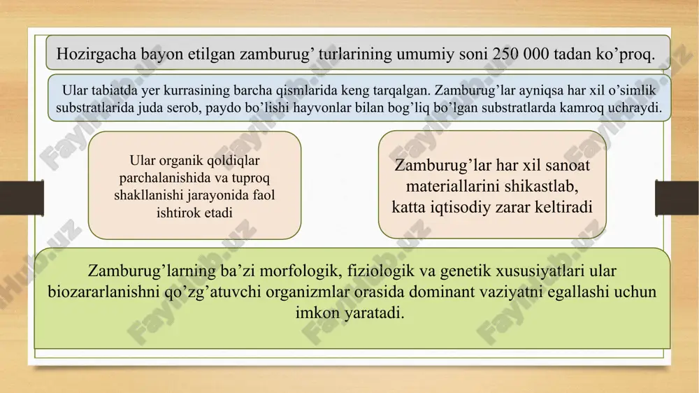 qi ko’rinishidan o’simlik ildiziga o’xshaydi. sklerosiy-uzoq vaqt davomida tinim holatida bo’la oladi va noqulay atrof-muhit sharoitida zamburug’larning hayotchnligini ta’minlash uchun xizmat qiladi. zamburug’ hujayrasining tuzulishi hujayra devorchasi sitoplazmatik matriks endoplazmatik to’r golji majmuasi lizosoma mitoxondriya zamburug’larning ko’payish usullari zamburug’larning vegitativ ko’payishi zamburug’larning jinsiz ko’payishi zamburug’larning jinsiy ko’ayishi zamburug’larning barcha ko’payish jarayonida hosil bo’ladigan barcha xil organlari: mitseliy bo’laklari oidiy sklerotsiy xlamidospora, zoospora, sporangiospora, konidiya, zigota, askospora bazidospora barchasi propagula deyiladi vegitativ ko’payishi-maxsus organ ishtirok etmaydi-mitseliyning har qanday bo’lagi o’sib , yangi mitseliy hosil qiladi. zamburug’larning jinsiz ko’payishi chytridiomycota va oomycota bo’limlariga mansub mansub zamburug’larning jinsiz ko’payishi maxsus tanachalar-sporangiylar ichida rivojlanadigan harakatchan zoosporalar yordamida amalga oshadi oomitset turlarining sporangiylari zoospore hosil qilmasdan, bevosita murta orqali o’sadi va gifa hamda mitseliy hosil qiladi. zygomycota bo’limi turlari jinsiz ko’payishi sporangiy ichida-endogen, tashqarida ekzogen rivojlanadigan harakatsiz sporangiosporalar yordamida amalga oshadi. materiallarni zararlovchi zamburug’larning propagulalari shamol, yomg’ir, suv, hasharot, hayvon va odamlar vositasida tarqaladi. zamburug’larning …