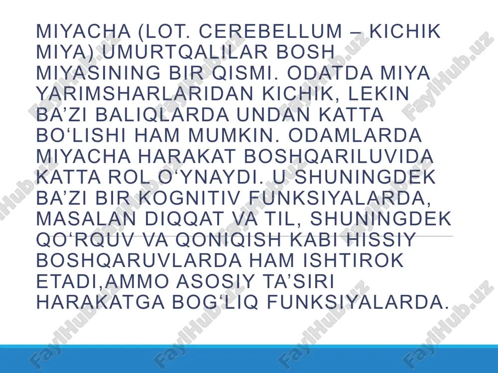 vchi oʻzgarishini chaqiradi. parallel tolalardagi uzoq muddat depressiyalarini oʻrganish shu turdagi nazariyalarni rivojlantirdi, lekin ularning ishonchliligi baxsli masala. miyacha kalla suyagining orqa ensa chuqurchasida joylashgan bo‘lib, uning asosiy vazifasi tana muvozanatini boshqarishdir. miyacha ham xuddi bosh miya yarim sharlari kabi ikkita yarim shardan iborat. uni katta miyaning kichik ukasi ham deyishadi. miyachaning ikkala yarim shari bir-biri bilan birlashgan. ularning birlashgan bu qismi chuvalchang deb ataladi. chunki u chuvalchang shakliga ega. miyacha ham xuddi bosh miya katta yarim sharlari kabi tashqi tomondan po‘stloq bilan qoplangan va kulrang tusga ega. miyachaning po‘stloq neyronlaridan chiquvchi nerv tolalari uning oq moddasini hosil qilishda ishtirok etadi. miyachaning oq moddasi ichida joylashgan kulrang tusdagi tuzilmalar miyacha yadrolari deb aytiladi. ular 4 juft bo‘lib, tana muvozanati va harakatlar koordinatsiyasini boshqarishda bevosita ishtirok etishadi. tana muvozanati deganda, miyacha faqat to‘g‘ri yurish uchun javob berarkan deb o‘ylamang. miyacha zararlanganda oyoq-qo‘llarda falajliklar bo‘lmasa-da, odamning bir maromdagi harakat faoliyati izdan chiqadi. …