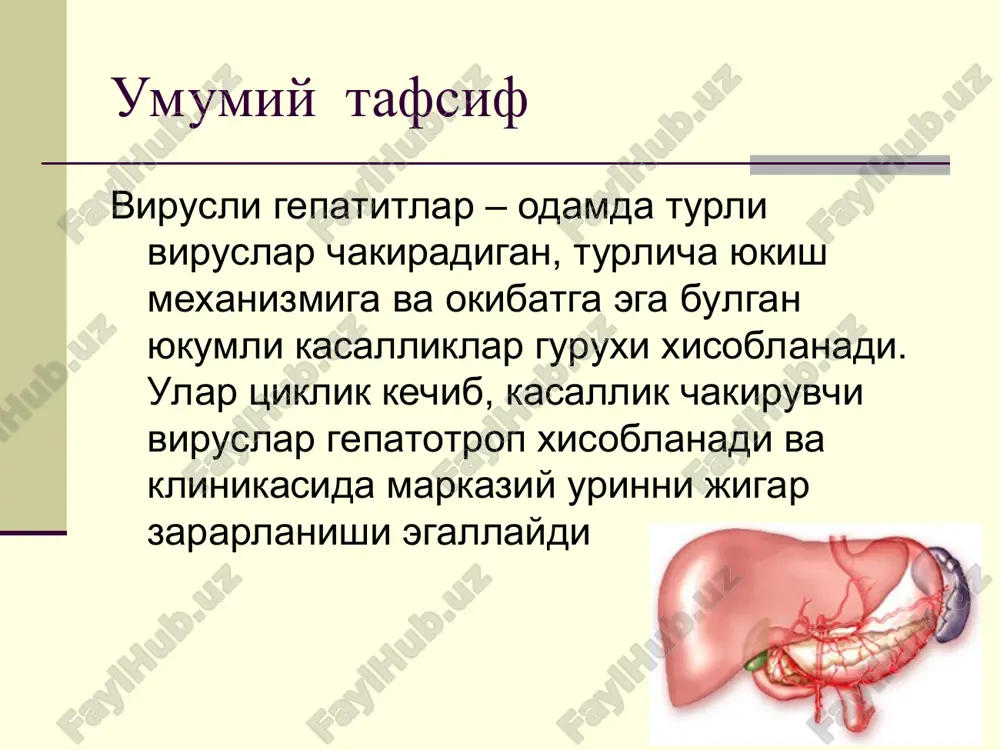 as. vgv – sistemali kasallik ogir kechishi mumkin, ba'zan fulminant (yashinsimon) shaklda umumiy strukturada vg 10-30% ni egallaydi xozirgi vaktda vgv – er sharida eng kup tarkalgan infektsiya xisoblanadi. jaxonda 2 mlrd.dan ortik odamlarda hbv-infektsiya utkazilgan markerlari aniklangan. 400 mln.ga yakin odam hbv ni surunkali tashuvchisi xisoblanadi. ulim sabablari buyicha vg ettinchi urinda turadi, «xayotni potentsial yukotish yillari» kriteriysi buyicha stabil uchinchi urini egallaydi, fakat pnevmoniya va utkir diareyalardan keyin turadi. jaxonda hbv-infektsiya bilan yiliga1 mln.dan ortik ulim boglik, bunga jigar tsirrozi (700 ming atrofida) va birlamchi jigar raki (300 ming) xam kiradi. epidemiologiyasi asosiy kasallik manbai va rezervuar – hbv virus tashuvchilar, surunkali gepatit bilan ogrigan bemorlar, kamrok darajada kasallikning utkir shakli bilan ogrigan bemorlar jinsiy yul bilan yukadi vertikal yukish extimoli yukori (hbeag+ xollarda 80% gacha) shaxsiy gigiena buyumlarini kullaganda zararlangan kon va kon preparatlari kuyilganda turli parenteral muolajalarda surunkali somatik kasalliklari bulgan bemorlar moyillik guruxi (gruppa riska) …