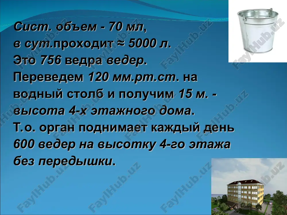 ikulyarnaya kommunikatsiya (avk) kompleks eyzenmengera (ke), transpozitsiya magistralnix sosudov (tms), obshiy arterialniy stvol (oas) s obedneniem malogo kruga izolirovanniy stenoz legochnoy arterii (isla) bolezn fallo, atreziya trexstvorchatogo klapana (atk) s obedneniem bolshogo kruga izolir. aortalniy stenoz (ias), kaorktatsiya aorti (ka) - bez narusheniya gemodinamiki dekstrokardiya, anomalii polojeniya dugi aorti, nebolshoy dmjp (v mishech.chasti) - klassifikatsiya stepeni tyajesti nedostatochnosti krovoobrasheniya stepen nk simptomatika 1 priznaki v pokoe otsutstvuyut, posle fiz. nagruzki: odishka, blednost, pererivi v sosanii 2a priznaki v pokoe: odishka (chdd ↑ ne chem na 50%), taxikardiya (chss na 10-15% ↑), pechen ↑ ne bolee 3-x sm, rg:umerennoe ↔ teni s. 2b chdd na 50-70% ↑ n, chss na 15-25% ↑ n, pechen ↑ 3-x sm iz pod kraya rebern. dugi, ↹ razmeri s, bespokoystvo, ↓ appetita, rvota 3 chdd ↑ na 70-100%, chss na 30-40% , pechen bolshaya, plotnaya, vlajnie xripi v legkix, ps ↓ napolneniya, astsit, oteki, vyalost …