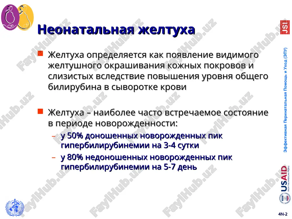 rebenka uroven pryamogo bilirubina > 34 mkmol/l (2 mg/dl) ili ≥ 20% ot urovnya obs * 4n-* patologicheskaya jeltuxa (2) narushennoe sostoyanie rebenka uvelichenie razmerov pecheni i selezenki obestsvechenniy stul ili temnie mocha, isprajneniya soxranenie jeltuxi bez tendentsii k ubivaniyu > 14 dnya jizni u donoshennogo novorojdennogo i > 21 dnya jizni u nedonoshennix novorojdennix, tak nazivaemaya zatyajnaya jeltuxa * 4n-* «opasnaya» jeltuxa vozrast (dni) lokalizatsiya jeltuxi vivod 1 lyubaya «opasnaya» jeltuxa 2 konechnosti  3 stopi, kisti * 4n-* vozmojnie oslojneniya neonatalnoy jeltuxi (1) bilirubinovaya entsefalopatiya - ostroe porajenie tsentralnoy nervnoy sistemi yadernaya jeltuxa – neobratimoe xronicheskoe porajenie tsentralnoy nervnoy sistemi * 4n-* vozmojnie oslojneniya neonatalnoy jeltuxi (2) bolshinstvo prichin razvitiya neonatalnoy jeltuxi yavlyayutsya fiziologicheskimi, no ochen vajno tshatelno nablyudat za rebenkom s jeltuxoy dlya svoevremennogo viyavleniya i nachala lecheniya «opasnoy» jeltuxi ochen vajno svoevremenno opredelyat razvitie patologicheskix priznakov u rebenka s jeltuxoy dlya nemedlennogo nachala terapii i sootvetstvuyushego …