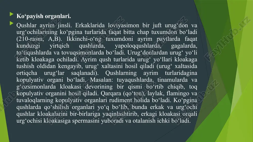 il qilish uchun sarflanadi. po‘choq tashqi tomondan tuxumga har xil mikroblar kirmasligi uchun yupqa parda bilan o‘ralgan bo‘ladi. shuning uchun jo‘ja ochishga qo‘yiladigan tuxumlarni yuvmaslik kerak, aks holda tuxum po‘chog‘i ustidagi pardasi shikastlanadi va embrion har xil mikroblar bilan kasallanishi mumkin. qushlar embrionining rivojlanishi tuxum yo‘lida boshlanadi. tuxum qush organizmidan chiqqandan keyin uni bosib yotadi, natijada embrion tez o‘sadi va unda muhim o‘zgarishlar ro‘y beradi. qush embrioni boshlang‘ich rivojlanish davrida voyaga yetgan qushga mutlaqo o‘xshamaydi, ya’ni embrionning boshi juda katta, tumshug‘i kichik dumboqcha shaklida, og‘zi boshining oldingi chekkasida ko‘ndalang joylashgan bo‘ladi. qushlar (aves) sinfining sistematikasi. hozirgi vaqtda qushlar sinfiga 30-35 ta turkum va 10 mingtaga yaqin tur kiradi (ye.a. koblik, 2001). mdh da qushlarning 800 ta turi, shu jumladan o‘rta osiyoda 500 ta va o‘zbekistonda 441 ta turi uchraydi. quruqlikda yashovchi umurtqali hayvonlar orasida qushlar sinfi turlarining ko‘pligi jihatdn birinchi o‘rinda turadi. qushlarning qazilma topilmalarini hisobga olganda, ular ikkita kenja …
