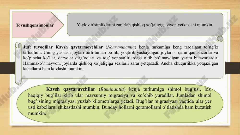 ida uchraydi, hattoki uy sichqonlari bilan ko’p qavvatli binolarga ham o’rnashib, ayrimda ularning soni sichqonlar sonidan oshib ketadi. kulrang og’maxon turar joy va xo’jalik binolariga boshqa turlarni: o’rmon va dalasichqonlari, oddiy va malla sichqonlari, qizildum va qirrali qumsichqonlar va boshqalarni o’rnashib olganligi ham qayd qilingan. kanallar qurilishi va sug’oriladigan dehqonchilikning rivojlanishi qurg’oqchilik hududlaridan namsevar turlarni: oddiy va suv dalasichqonlari, dalasichqonlar, ondatralar va kulrang kalamushni sug’oriladigan hududlarga kirib kelishiga imkon tug’diradi. oxirgi vaqtlarda chorvachilik komplekslari, yuk tushirish va ortish bazalari va h. qurilishi kulrang kalamush arealining sezilarli darajada kengayishiga olib keldi. kemiruvchilar oziqaga qadar yetib borguncha mahsulot joylangan tara va upakovaklarni zararlaydi, omborxona, sklad, don saqlanadigan, chorvachilik binolarining pol va devorlarini kemiradi. oziqa mahsulotlaridan tashqari kemiruvchilar skladlardagi mato, teri, oyoq kiyimlari, platmassa, mebel va boshqalarni ishdan chiqaradi. kemiruvchilar tomonidan vodoprovod qo’rg’oshin trubalari va al’yumin buyumlarni zararlanish hollari ham kuzatilgan. turar joylarda va boshqa binolarda kemiruvchilar in qurish uchun qog’oz, latta, penoplast, …