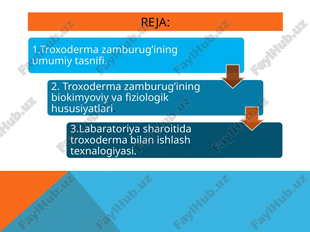 nifi. troxoderma – bu tuproqda yashovchi saprofit mikrozamburug‘lar turkumi bo‘lib, ularning ko‘pchiligi o‘simliklar ildizlari atrofida (rizosferada) faol rivojlanadi. ular kuchli fermentativ faollik, tez o‘sish va fitopatogenlarga qarshi raqobatbardoshlik xususiyatlariga ega. asosan yashil rangdagi konidiyalarga ega bo‘lgan bu zamburug‘lar mikroskop ostida osongina tanib olinadi. biokimyoviy va fiziologik hususiyatlari troxoderma turli xil gidrolitik fermentlarni (selülaza, kitinaza, proteaza) ishlab chiqaradi. ushbu fermentlar o‘simliklarga zarar yetkazuvchi patogen zamburug‘larning hujayra devorini parchalaydi. shuningdek, ular ikkinchi darajali metabolitlar – antibiotiklar va boshqa bioaktiv moddalarning manbai hisoblanadi. bu xususiyatlar troxodermani kuchli antagonistga aylantiradi. biotexnologik qo‘llanilishi troxoderma zamburug‘i biologik kurash vositasi sifatida keng qo‘llaniladi. u o‘simlik kasalliklariga sababchi bo‘ladigan zamburug‘larga qarshi samarali kurash olib boradi. bundan tashqari, u o‘simlik o‘sishini rag‘batlantiruvchi mikroorganizmlar (pgpr) sirasiga kiradi. shu sababli, u biofungitsid, bioo‘g‘it va biostimulyator sifatida qishloq xo‘jaligida qo‘llaniladi. laboratoriya sharoitida troxoderma bilan ishlash texnologiyasi troxodermani laboratoriyada ajratib olish uchun tuproq yoki ildiz atrofidagi namunalar olinadi. ular maxsus oziqa muhitida yetishtirilib, …