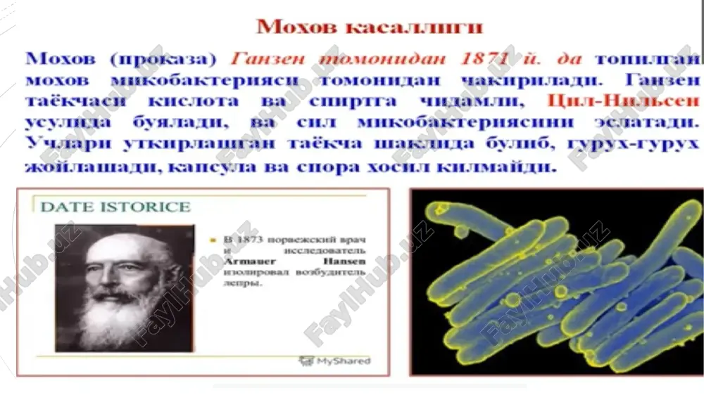 moxovkasalligi - Page 2