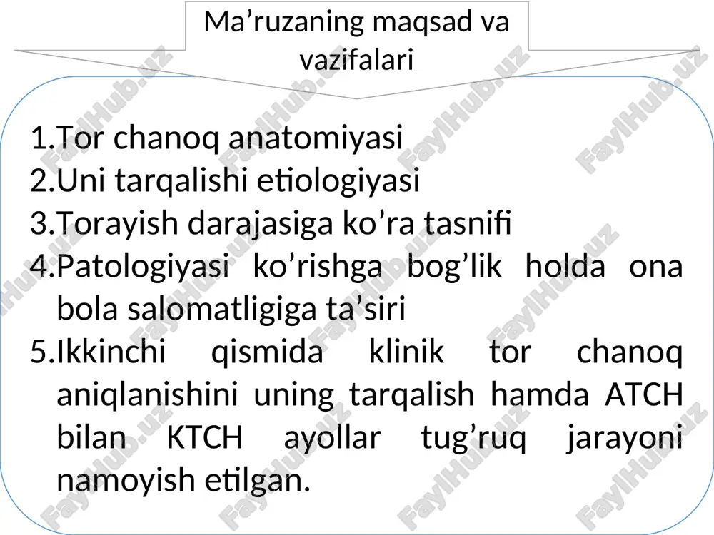tor chanoq anatomiyasi - Page 2