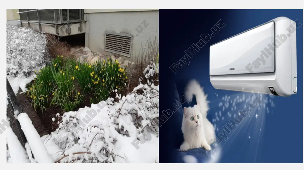 ada – o'ziga xos xususiyatlari bor: lekin ko'rsatilgandan birinchisi bir qator sezilarli ustunliklarga ega: • jihozlash va foydalanish qulayligi; • katta moliyaviy sarflarning yo'qligi; • to'g'ri tuzilgan loyihada tabiiy ventilyatsiya tizimi juda ham samarali bo'lishi mumkin; • vozduxovodlar montaji mustaqil ravishda professionallarni jalb qilmasdan osonlik bilan bajariladi. asosiy ko'rinishda tabiiy ventilyatsiyalash: 1. beixtiyor (tashkillashtirilmagan). mazkur holatda havo xonaga faqat tabiiy sharoitlar hisobiga kiradi va chiqariladi (bosim, haroratlar, hamda shamol tezligidagi farq). 2. tashkillashtirilgan. turli balandlikda va turli maydonga ega bo'lgan maxsus teshiklar o'ranitish yordami bilan ta'minlanadi. ushbu ko'rsatkichlardan kelib chiqib, hamda havo berilishi qanday boshqarilishiga bog'liq holda tizimning yana kichik turlari ham bor: • qavatli ; • aeratsiya ; • gravitatsion. tabiiy ventilyatsiya loyihalanganda ish printsipi muhim ahamiyatga ega, chunki xonada havo aylanishi hisoblar qanchalik to'g'ri bo'lganiga bog'liq bo'ladi. chunki mayda xatolarda ham havo almashinuvi etarli bo'lmasligi bo'lishi mumkin, bu esa havo turg'unligi, namlik darajasining ortishi, zamburug' va mog'orning paydo …