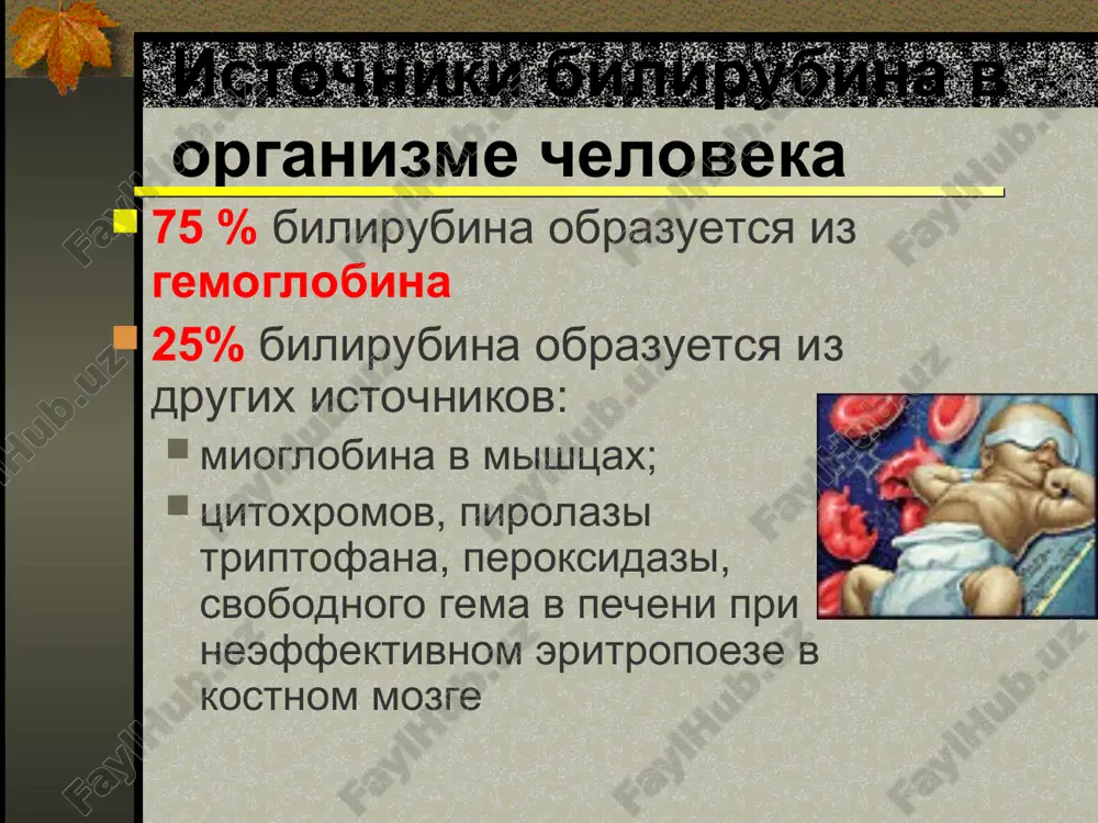 nix detey jeltuxa opredelit kontsentratsiyu bilirubina ne fiziologicheskaya gruppa krovi, rh, proba coombs, gematokrit, mazok, retikulotsiti  nepryamogo bilirubina coombs + coombs - abo rh dr. faktori sepsis atreziya jelchnix putey xolestaz vr. infektsii gepatit mukovistsidoz tirozinoz galaktozemiya norma ili  gematokrit  gematokrit politsitemiya forma eritrots. normalnaya nenormalna krovotechenie enterogepatnie metabolicheskie medikamenti drugie prich. spetsificheskie i nespetsificheskie anomalii  pryamogo bilirubina * fiziologicheskaya jeltuxa novorojdennix okolo 50-60% novorojdennix na pervoy nedele jizni proyavlyaetsya jeltuxa u donoshennix detey pik giperbilirubinemii voznikaet na 3-4 den jizni, u nedonoshennix – na 5-7 den jizni; jeltuxa stanovitsya vidimoy pri dostijenii kontsentratsii v sivorotke krovi 5-6 mg% (86-103 mkmol/l), virajennoy – pri 7-17 mg% (104-291 mkmol/l); * fiziologicheskaya jeltuxa novorojdennix prichini vozniknoveniya v organizme obrazuetsya bolshe bilirubina bolshoy ob'yom tsirkuliruyushix er na massu tela menshaya prodoljitelnost jiznedeyatelnosti er bolee intensivnaya enterogepatnaya tsirkulyatsiya ne sovershenni mexanizmi konyugatsii bilirubina menshaya aktivnost fermentov * patologicheskaya jeltuxa novorojdennix …