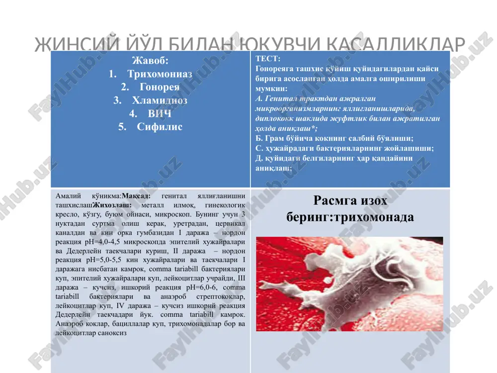 jinsiy yo'l bilan yuquvchi kasalliklar - Page 2
