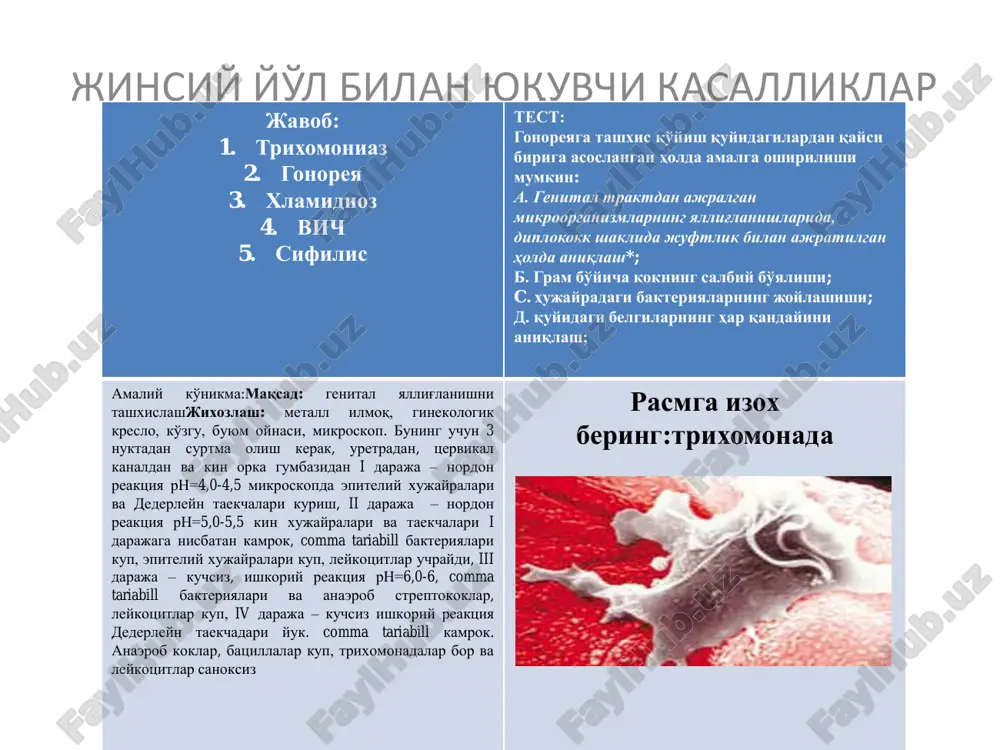 jinisiy yul bilan yuquvchi kasalliklar - Page 2