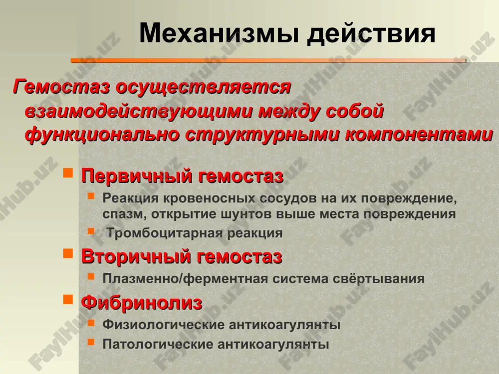 . vii – stabil. f viii - agf-a ix - agf-b x – f. styuarta-prauera. xi - agf-c xii – f. xagemana. xiii –fibrin stabiliziruyushiy f mexanizm prevrasheniya fibrinogena v fibrin aktivatsiya plazmennix protsessov svyortivaniya aktivatsiya vnutrennix faktorov svyortivaniya xii xii xii xii xiia aktivatsiya vneshnix faktorov svyortivaniya protivosvyortivayushie mexanizmi fiziologicheskie antikoagulyanti bistro deystvuyushiy ingibitor svyortivaniya – antitrombin izbitok antikoagulyantov etoy gruppi ne sozdayot ugrozi krovotochivosti antikoagulyanti, obrazuyushiesya vo vremya svyortivaniya mnogie produkti svertivaniya priobretayut antikoagulyantnie svoystva – fibrin, produkti fibrinoliza, fibrin-geparinoviy komplekss stimulyatsiya fibrinoliza mojet osushestvlyatsya mikrobnimi kinazami leykotsiti fagotsitiruyut produkti rasshepleniya fibrina protivosvyortivayushie mexanizmi pri zabolevaniyax kolichestvo ix v plazme mojet rezko uvelichivatsya, ingibirovat koagulyatsionnie faktori i ubirat ix iz plazmi patologicheskie antikoagulyanti imunnie ingibitori makroglobulini, blokiruyushie kaskad svyortivaniya, obolakivayushie trombotsiti, izmenyayushie ix agregatsiyu, narushayushie mikrotsirkulyatsiyu prichini krovotecheniy osobenno opasni sostoyaniya, kogda porajaetsya vsya sistema svyortivaniya krovi izmeneniya chisla, morfologicheskoy tselosnosti ili funktsii trombotsitov trombotsitopenii trombotsitopatii izmeneiya sosudistoy …