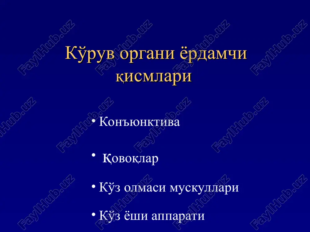 8.2% h2o. 1.8% kattik moddalar : oksil mineral tuzlar mochevina lizotsim * ko'z yosh organlari yosh pardasi . vazifasi : ximoya (bakteritsid ta'sir , yot jismlardan tozalash ). optik (shox parda yuzasidagi notekisliklarni tekislash ,uning namligini ,sillikligini, shaffofligini taminlash. trofik (shox parda oziklanishi va nafas olishida katnashadi ). ko'z olmasi muskullari tashqi tugri ichki tugri yuqori tugri pastki tugri pastki qiyshiq yuqori qiyshiq chap kuz * ko'z olmasi muskullari yuqori tugri pay aylanmasi tashqi tugri pastki tugri pastki kiyshik yuqori qiyshiq * glaznie mishtsi v glaznitse obrazuyut mishechnuyu voronku. vnutri nee naxodyatsya zritelniy nerv, glaznichnaya arteriya m tri pari cherepno-mozgovix nervov.