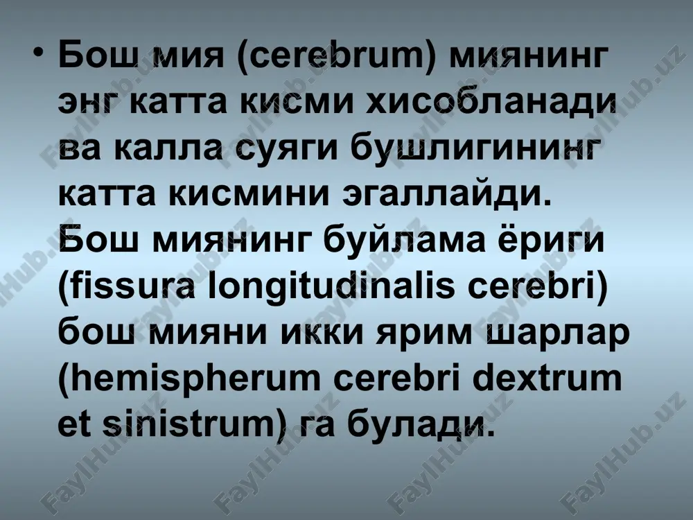 kismi - pars triangularis, operkulyar kisim - pars opercularis. tepa soxasini yuzasidagi sulcus intraparietalis tepa bulagini lobulus parietalis superior va lobulus parietalis inferior buladi markaziy egatni orkangi kismida g.centralis posterior joylashadi lobulus parietalis inferior tarkibiga g.supramarginalis va girus angularis kiradi. chakka soxasidagi sulcus temporalis sup. va sul. temr. inf. bulagni g.temporalis superior, media., inferior ga buladi bosh miya yarimsharlarini ichki yuzasi. kadaksimon tana (corpus collosi) ikkala yarimsharlarni boglab turadi sulcus corporis callosi limbik bulagni pastki kismida dengiz otchasi joylashadi g.hiprocampi uning oldingi kismi ilgakni xosil kiladi (uncus) ensa bulagini ichki yuzasida sulcus calcarinus joylashgan, ush bu egat yukorisida cuneus, pastida esa lingualis joylashgan. peshona bulagini asosida g. rectus joylashgan, ush busoxada xidlov trakti mavjud tractus olfactorius. chakka bulagini asosida pastki chakka pushtasi joylashgan. bosh miya asosida kuruv kesishmasi joylashgan hiasma n. optici. bosh miya pustlogini arxitektonikasi. . tsitoarxitektonika – pustlogni xujayralarini tuzilishini urganish mieloarxitektonika – nerv toalarini urganish angioarxitektonika – …