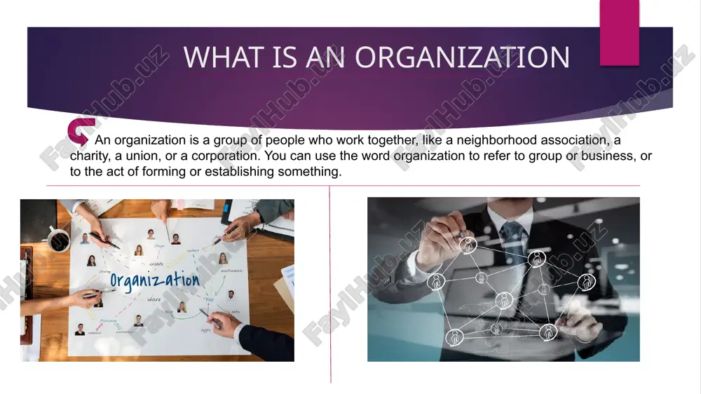 organizations - Page 2
