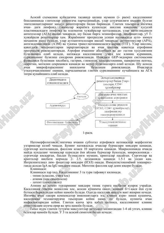 seleakiyada peptidazaning tugma etishmovchiligi kuzatiladi, glyutamindan prolin qosil bulishi buziladi. tseliakiyaning faol klinik davrida ingichka ichakda peptidaza faolligi past buladi, lekin parxez buyurilgandan sung u meyoriga keladi. bupw.au nazariya - asosida 90% tseliakiya bilan ogrigan be- morlarda 12-tur adenovirusga karshi antitelolar titri yukori buladi. virusli infektsiya utkazgandan keyin kupchilik bemorlarda kasallikning klinik belgilari boshlanishi aniqlanmagan, shunday bulsa xam glyutenli parxez buyurilgandan sung antizirus antitelolari titri pasayadi. sero logik reaktsiya lar glyutenga qarshi adenovirus antigenlari borligi xisobiga musbat buladi. gliadin zanjiri va adenovirus tekshirilganda 12 aminokislotalar ketma-ketligi bir xilligi aniklanadi. patoretseptorli nazariya - asosida ingichka ichak epiteliysi yuzasida glikoproteidlar tarkibining buzilishi yotadi, bu esa glyuten uning ta'siriga sezuvchanligini oshishiga olib keladi. tseliakiya bilan ogrigan parxezda bulgan bemorlarga glyuten yuborilganda, ichaklar motorika tezda faollashadi, gistologik - birinchi kunlardanok ichak surgichlari uzunligi kamayadi. immunologik nazariya - xozirgi kunda tushuntirilishi kerak bulgan nazariya. tseliakiya bilan ogrigan bemor konida glyutenga tsarshi antitelolar, uzining enterotsitlariga karshi …