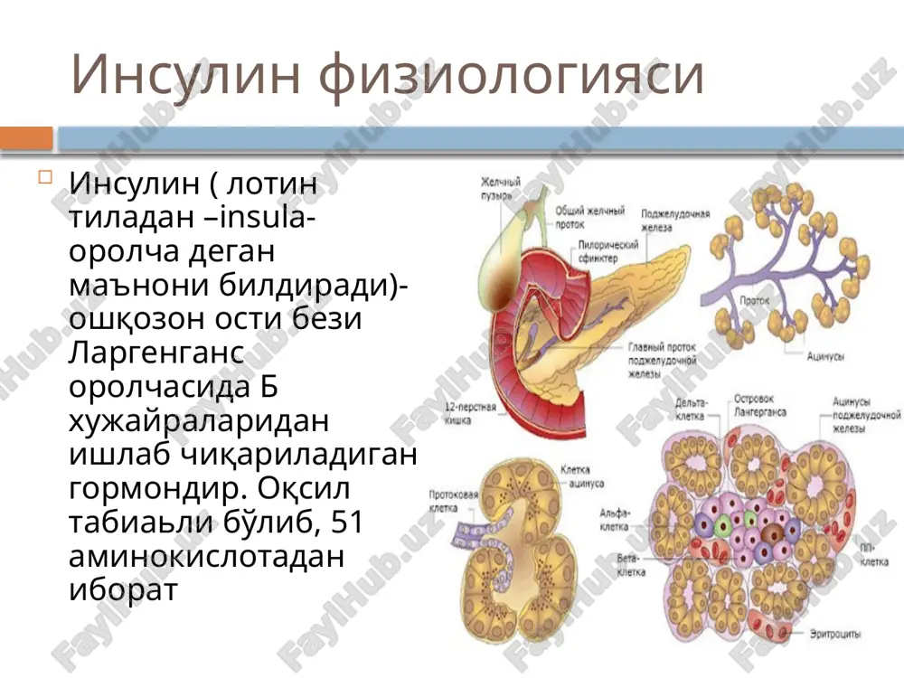 'sirini boshlaydi, ta'sir cho'qqisi 2 soatdan so'ng va davomiyligi 6 soatni tashkil edadi. qisqa ta'sirli insulinlarni oaqatdan 30-40 min oldin qo'llash tavsiya etiladi qisqa tasirli insulinlar inson insulinlari(genno injener yo'li bilan olinadi) — aktrapid hm, bioinsulin r, gansulin r, gensulin r, insuran r, rinsulin r, xumulin regulyar. inson insulinlari (polusintetik) — biogulin r,xumodar r. insulin eruvchi(cho'chqa,monokomponentli) — aktrapid ms,monodar, monosuinsulin mk. ultraqisqa ta'sirli insulinlar bu guruxdagi insulinlar t\o yuborilganda s 15 minutdan so'ng o'z ta'sirini boshlaydi, ta'sir cho'qqisi 2 soatda etib, 4 soatdan sung inson organizmidan chiqib ketadi. ush bu gurux vakillari: insulin lizpro (xumalog) insulin aspart (novorapid penfill,novorapid flekspen). insulin glulizin (apidra). bazal insulin bazal insulinlar o'rta ta'sirli va uzoq ta'sirli turlarga bo'linadi o'rta ta'sirga ega bo'lgan insulinlar o'z ta'siri t\o yuborilganda2 s so'ng boshlaydi , ta'sir cho'qqisi 6-8 s, umumiy tq'siri 10-12 s tashkil etadi biosulin n, gansulin n, gensulin n, insuman bazal gt, insuran npx, protafan nm, …