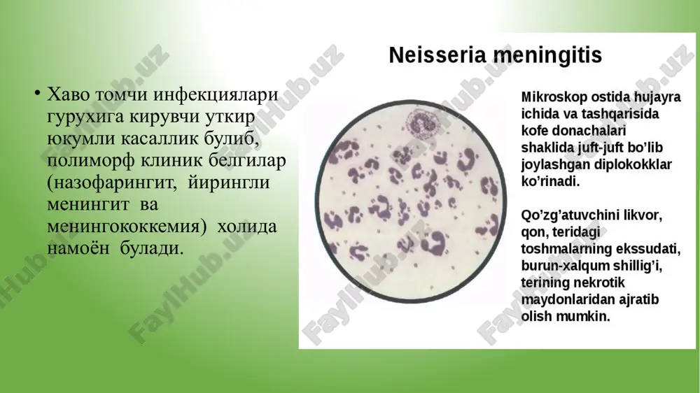 okokk tashib yuruvchilik: b) o'tkir nazofaringit v) pnevmoniya. ii. gematogen-tarqoq formasi: a) meningokokktsemiya; b) meningit; v) meningoentsefalit; g) aralash (meningokokktsemiya+meningit); iii. kam uchraydigan formasi: (endokardit, artrit, iridotsiklit). meningokokk tashib yuruvchilik — kasallikning subklinik xili bo'lyb, hech qanday simptomlar ko'rinmaydi. utkir nazofaringit. 80% ida uchraydi. engil, o'rta og'ir, va og'ir shakllari ajratiladi. kasallik o'tkir, tana haroratining 37,5˚s dan 39-40˚s gacha ko'tarilishi, bosh og'rishi, bosh aylanishi, kataral belgilar bilan boshlanadi. xalqum orqa devorining giperemiyasi va shishi kuzatiladi: limfoid follikulalarning giperplaziyasi, bodomcha bezlar shishi. og'ir shakllarida tana harorati 39-40,5˚s gacha ko'tariladi, xarakterli simptomlardan tashqari qusish, ba'zan talvasalar, qorinda og'riq qo'shiladi. ko'ruvda alohida meningeal simptomlar aniqlanadi. periferik qonda leykotsitoz 15*109/l gacha, neytrofillyoz, echt – 20-30 mm/s gacha bo'ladi. oms o'zgarishsiz. meningokokktsemiya (meningokokk sepsisi)- to'satdan boshlanadi. bemorlar kasallikning aniq vaqtini aytadilar. tana harorati 39-40°s gacha ko'tariladi, qaltirash, qusish, bolalarda ko'pincha talvasalar, hushning buzilishi kuzatiladi. barcha klinik simptomlar 1-2 kun davomida kuchayib boradi. 1-kunning oxirida xarakterli …