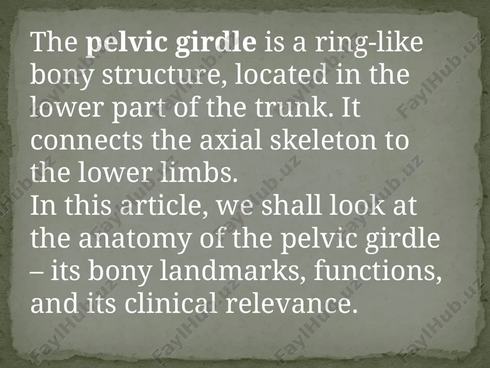 rders of the pelvic inlet: posterior – sacral promontory (the superior portion of the sacrum) and sacral wings (ala). lateral – arcuate line on the inner surface of the ilium, and the pectineal line on the superior pubic ramus. anterior – pubic symphysis. the pelvic inlet determines the size and shape of the birth canal, with the prominent ridges a key site for attachment of muscle and ligaments. some alternative descriptive terminology can be used in describing the pelvic inlet: linlinea terminalis – the combined pectineal line, arcuate line and sacral promontory. iliopectineal e – the combined arcuate and pectineal lines. this represents the lateral border of the pelvic inlet. thank you for your attention image3.jpeg image4.jpeg image5.jpeg image6.jpeg /docprops/thumbnail.jpeg