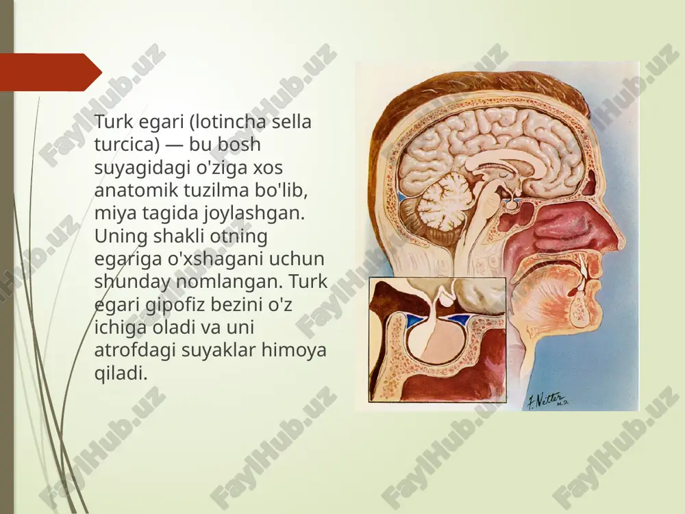 mumkin xulosa: btes nisbatan kam uchraydigan kasallik. yaxshi monitoring va davolash bilan bemorlar hayot sifatini saqlab qolishlari mumkin e’tiboringiz uchun rahmat image1.png image2.png /docprops/thumbnail.jpeg
