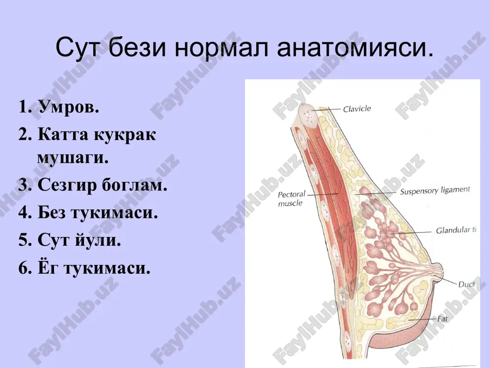 gunlari kattalashgan ayollar ichida 1/3 - ½ kismida sut bezi saratoni topiladi. xodjkin kasalligini, upka, tuxumdonlar, me'da osti bezi saratonini va teri yassi xujayrali kartsinomasini inkor kilinadi. sut bezi saratoni formalari uchokli. diffuz: shish-infiltrativ; mastitsimon. sut bezini tekshirish. 1. kullar bosh orkasida. 2. kullar belda. 3. oldinga egilish. sut bezi palpatsiyasi. kuyidagilarni aniklash zarur: tukima konsistentsiyasini; ogriklikni; tugunlar borligini: 1. lokalizatsiyasini; 2. ulchami smda;. 3. shakli (tekis yoki notekis); 4. konsistentsiyasini; 5. xarakatchanlik va atrof tukimalar bilan alokasi. surgichni tekshirish. kultik limfa tugunlarini tekshirish. diagnostika erta diagnostika: uz – uzini tekshiruv va mammografiya. barcha 35 yoshdan to 40 yoshgacha bulgan ayollarga mammografiya utkazish tavsiya etiladi. 40-50 yoshdagi xavf guruxidagi ayollar mammografiyani yilda bir marta yoki 2 yilda 1 marta, 50 yoshdan katta ayollar xar yili 1 marta utishi shart. sut bezi utt solid yoki kistoz xarakterli bulsa xosilani (paypaslanuvchi yoki paypaslanmaydigan) aniklash uchun utkaziladi. gistologik tekshtruv - aspiratni gistologik tekshiruv …
