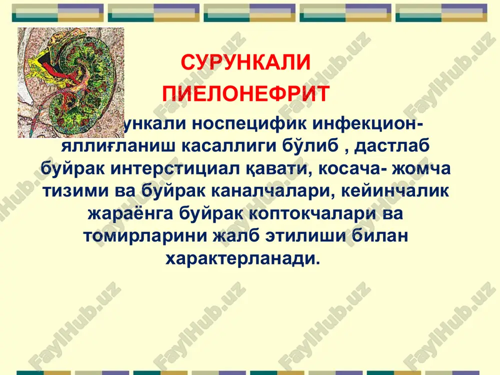 i). gematurik (makrogematuriya) anemik latent (kam simptomli) qaytalanuvchi ( remissiya va qo'zish davrining tez tez takrorlanishi) surunkali buyrak etishmovchiligi darajasi. tasnifi. yallig'lanish jarayoni faolligiga ko'ra: faol yallig'lanish bosqichi: leykotsituriya – 1 ml siydikdagi leykotsitlar miqdori 25 000 dan ko'p; bakteriuriya – 1 ml siydikdagi mikrob tanachalari 100 000ko'p; siydikdagi faol leykotsitlar (30% dan ko'p; siydikda shterngeymer-malbin tanachalari (25-50% bemorlarda aniqlanadi); echt 20 mm/s dan yuqori ( 50-70% hollarda aniqlanadi); latent yallig'lanish bosqichi: leykotsituriya – 1 ml siydikdagi leykotsitlar miqdori 2 500 dan ko'p; bakteriuriya – 1 ml siydikdagi mikrob tanachalari 10 000ko'p; siydikdagi faol leykotsitlar (15-30% dan ko'p); siydikda shterngeymer-malbin tanachalari aniqlanmaydi; echt 12 mm/s dan oshmaydi; remissiya bosqichi: leykotsituriya aniqlanmaydi bakteriuriya aniqlanmaydi siydikdagi faol leykotsitlar yuq echt 12 mm/s dan past klinikasi shikoyatlari: bel sohasida og'riq dizuriya belgilari siydik rangi loyqalanishi (xiralashuvi) tana xarorati ko'tarilishi, qaltirash bilan 38,5-39°s va odatda ertalabga me'yorlashadi klinikasi ob'ektiv ko'ruvda: teri va shilliq kavatlar …