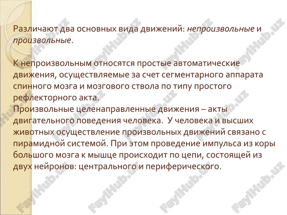 ie neyroni kori bolshogo mozga; 2 — vnutrennyaya kapsula; 3 — sredniy mozg; 4 — most; 5 — prodolgovatiy mozg; 6 — perekrest piramid; 7 — lateralniy korkovo-spinnomozgovoy (piramidniy) put; 8, 10 — sheynie segmenti spinnogo mozga; 9 — peredniy korkovo-spinnomozgovoy (piramidniy) put; 11 — belaya spayka; 12 — grudnoy segment spinnogo mozga; 13 — poyasnichniy segment spinnogo mozga; 14 — dvigatelnie neyroni perednix rogov spinnogo mozga. piramidniy put perednyaya tsentralnaya izvilina, para i pretsentralnie dolki, zadnie otdeli verxney i sredney lobnoy izvilini (1 neyron piramidnogo puti - kletki betsa pyatogo sloya kori golovnogo mozga). | corona radiata | koleno i perednie dve treti zadney nojki vnutrenney kapsuli 1)korkovo-yaderniy put cherez koleno vnutrenney kapsuli napravlyaetsya v stvol mozga i otdaet kollaterali k yadram mosta (obespechivaet cherepnuyu innervatsiyu) 2)korkovo-spinnomozgovoy put sleduya cherez perednie dve treti zadney nojki vnutrenney kapsuli proxodit cherez stvol mozga. | nepolniy perekrest korkovo-spinnomozgovogo puti na granitse prodolgovatogo …