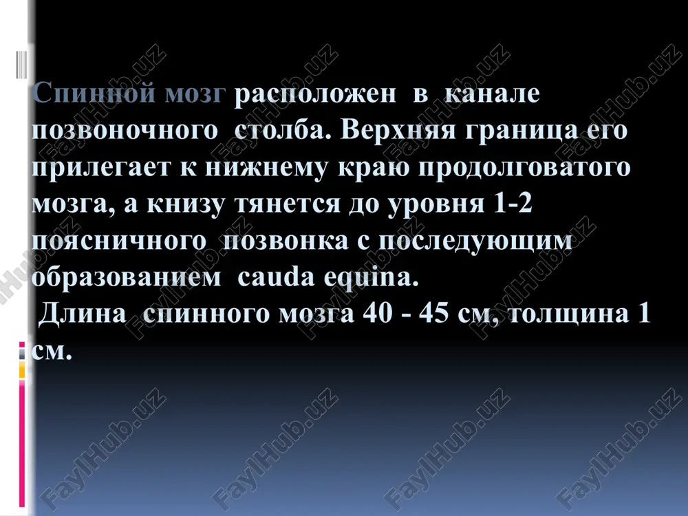 : 1. medialnaya gruppa kletok 2. tsentralnaya gruppa kletok 3. lateralnaya gruppa kletok 2. v zadnix rogax - chuvstvitelnie kletki vtorie neyroni puti poverxnostnogo chuvstva; 3. kletki simpaticheskoy nervnoy sistemi raspolojeni v bokovix rogax, aksoni kotorix vixodyat v sostave perednix koreshkov. c1-4 s5-8, d1 d2-12 l1-5, s1-2 s3-5, co1-2 ochag 1 ochag 2 ochag 3 ochag 4 ochag 5 ochag 6 stvol golovnogo mozga anatomo-fiziologicheskie osobennosti ctvol golovnogo mozga raspolagaetsya v zadney cherepnoy yamke. k stvolu mozga otnosyat: prodolgovatiy mozg varoliev most nojki mozga chetveroxolmie dientsefalnaya oblast. stvol mozga (vid speredi) a. prodolgovatiy mozg v. most s. sredniy mozg 1. perednyaya tsentralnaya shel 2. piramidi 3. perekrest piramid 4. olivi 5. bulbarnomostovaya borozda 6. perednelateralnaya borozda 7. nijnie nojki mozjechka 8. osnovnaya borozda (bazilyarnaya) 9. piramidnie vozvisheniya 10. srednie nojki mozjechka ch / m nervi: v. troynichniy vi. otvodyashiy vii. litsevoy viii. vestibulosluxovoy ix. yazikoglotochniy x. blujdayushiy xi. dobavochniy prodolgovatiy …