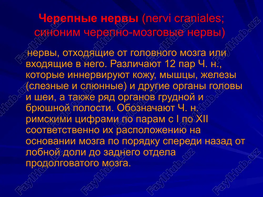 et rasstroystv obonyaniya v svyazi s dvustoronney innervatsiey. pri razdrajenii kori visochnoy doli voznikayut obonyatelnie gallyutsinatsii. ii para — zritelniy nerv (n. opticus) perviy nevron zritelnogo analizatora zalojen v setchatke glaza – eto kletki vosprinimayushie svetovoe razdrajenie (palochki i kolbochki). nerv pronikaet v polost cherepa cherez zritelniy kanal. kperedi ot turetskogo sedla oba nerva obrazuyut zritelniy perekrest (chiasma opticum), gde volokna iz medialnix (nazalnix) polovin setchatok perexodyat na protivopolojnuyu storonu. ii para — zritelniy nerv (n. opticus) posle perekresta obrazuetsya zritelniy trakt (tractus opticus), kotoriy otdaet svoi volokna podkorkovim zritelnim tsentram (narujnoe kolenchatoe telo, podushke zritelnogo bugra, verxnix bugrax chetveroxolmiya). ot narujnogo kolenchatogo tela volokna idut cherez zadnee bedro vnutrenney kapsuli v zatilochnie doli golovnogo mozga. porajenie zritelnogo puti porajenie zritelnogo nerva vizivaet polnuyu poteryu zreniya – amavroz. porajenie vnutrenney chasti xiazmi gde proxodyat perekreshivayushiesya volokna ot vnutrennix uchastkov setchatki vizivaet bitemporalnuyu gemianopsiyu t.e. slepotu narujnix poley zreniya. porajenie narujnix …