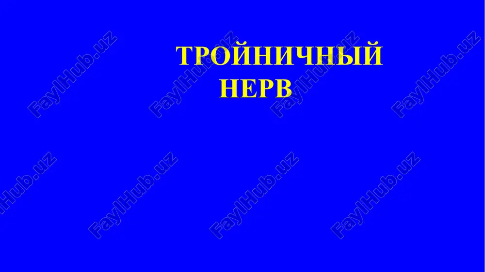 rez prodolgovatiy mozg k zadnim rogam sheynix segmentov spinnogo mozga. aksoni vtorix neyronov, naxodyashixsya v chuvstvitelnix yadrax, sde­lav perekrest, prisoedinyayutsya k chuvstvitelnoy medialnoy petle i okan­chivayutsya v bokovom ventralnom yadre talamusa. provodyashie puti provodyashie puti glaznoy nerv (n. ophthalmicus) - chuvstvitelniy. on obrazuetsya iz volo­kon, vixodyashix iz verxney chasti troynichnogo uzla, proxodit v stenke peshe­ristoy pazuxi, zatem cherez verxnyuyu glaznichnuyu shel zaxodit v glaznitsu, gde razdelyaetsya na tri vetvi: slezniy nerv (n. lacrimalis), lobniy nerv (n. frontalis) i nosoresnichniy nerv (n. nasociliaris). innerviruyut koju verxnego uchastka litsa, perednix otdelov volosistoy chasti golovi, kon'yunktivu, sli­zistuyu obolochku nosa, osnovnuyu i lobnuyu okolonosovie pazuxi. verxnechelyustnoy nerv (n. maxillaris) - chuvstvitelniy. on obrazuet­sya iz volokon, vixodyashix iz sredney chasti troynichnogo uzla. iz polosti cherepa nerv vixodit cherez krugloe otverstie i otdaet takie vetvi: skulovoy nerv (n. zygomaticus), bolshoy i malenkie nyobnie nervi (nn. palatini major et minores), podglaznichniy nerv (n. infraorbitalis), verxnie lunochkovie nervi …