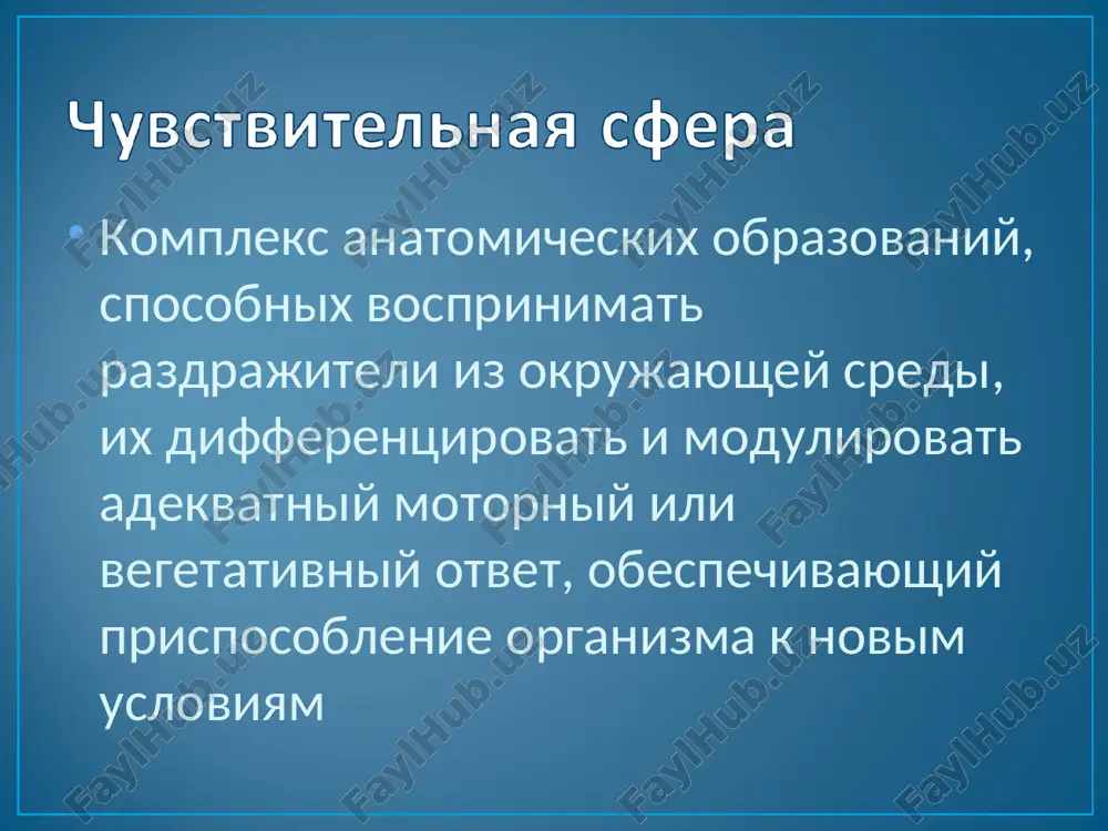 nosti po vsey konechnosti, refleksov, atrofiya mishts) ganglionarniy tip (bol v kojnom segmente, gerpeticheskie visipaniya, vistseralnie boli, izmeneniya chuvstvitelnosti) koreshkoviy tip (bol s irradiatsiey, simptomi natyajeniya koreshkov, antalgicheskaya poza, vipadenie chuvstvitelnosti) zadnerogovoy tip (vipadenie bolevoy chuvstvitelnosti pri soxrannosti glubokoy v sootvetstvuyushem segmente, vistseralnie rasstroystva) zadnestolbovoy (vipadenie glubokix vidov chuvstvitelnosti pri soxrannosti poverxnostnix, sensitivnaya ataksiya) alterniruyushiy (vipadenie chuvstvitelnosti na litse na storone ochaga i na tulovishe na protivopolojnoy) gemitip-narushenie chuvstvitelnosti na protivopolojnoy chasti tela (porajenie stvola, podkorki, vsey posttsentralnoy izvilini) lemniskoviy tip- vipadenie vsex vidov chuvstvitelnosti po tetra-, gemitipam talamicheskiy tip- gemigipesteziya, gemiataksiya, gemianopsiya , talamicheskie boli kapsulyarniy tip-gemiplegiya, gemigipesteziya, gemianopsiya korkoviy tip- mono, gemigipesteziya, sensorniy djekson klassicheskiy totalniy prodolniy pyatnisto-mozaichniy slojno-kombinirovanniy rasstroystva chuvstvitelnosti po totalnomu tipu opros, analiz xaraktera boli issledovanie poverxnostnix vidov chuvstvitelnosti issledovanie glubokix vidov chuvstvitelnosti issledovanie simptomov natyajeniya koreshkov (neri ,lasega-lazarevicha ,vassermana, matskevicha) issledovanie paravertebralnix tochek, tochek erba blagodaryu za vnimanie!