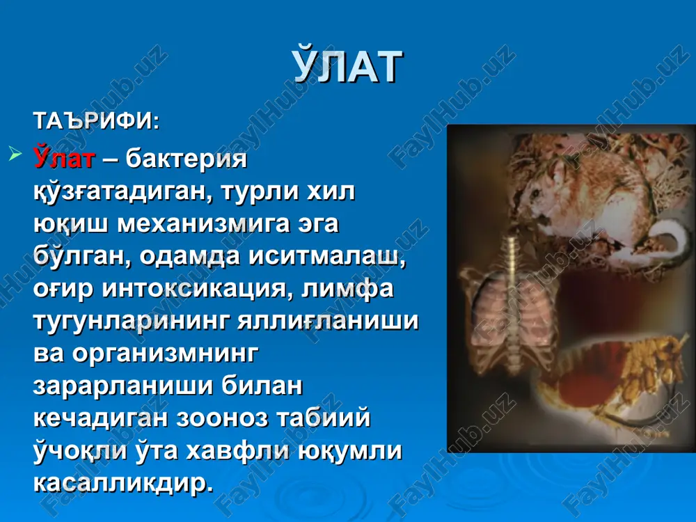 aynida o'lat pandemiyasi dunyoning dengizga yaqin bo'lgan 87 port shaharlarida ro'yxatga olinib, 12 mln.dan ortiq kishi halok bo'lgan. o'latning bo'lib o'tgan pandemiyalarida 200 mln.ga yaqin kishi vafot etgan. tarixiy ma'lumotlar va geografik tarqalishi (davomi) d.k.zabolotniy o'lat tabiiy o'choqli kasallik ekanligi to'g'risidagi gipotezani ilgari surgan bo'lsa, uchinchi pandemiya davrida, aniqrog'i, 1897 yilda frantsuz olimi aleksandr yersin va uning yaponiyalik hamkasbi shibasaburo kitazatolar bemor odam va kalamushdan o'lat kasalligining qo'zg'atuvchisini aniqlagan. tarixiy ma'lumotlar va geografik tarqalishi (davomi) ogata va simonlar 1898 yilda o'lat kasalligi tarqalishida burgalarning roli borligini e'tirof etishgan. d.k.zabolotniy va l.m.isaevlar 1911 yilda cho'ldan tutib olib kelingan kemiruvchi (sug'ur) dan, i.a.deminskiy 1912 yilda yumronqoziqdan o'lat qo'zg'atuvchisini ajratib olgan. bokot va martinlar o'lat qo'zg'atuvchisi yuqqan burgadan «o'lat bloki» fenomenini aniqlashga muvaffaq bo'lgan. tarixiy ma'lumotlar va geografik tarqalishi (davomi) oxirgi yillarda dunyoda o'lat kasalligining epidemiyasi kuzatilmayapti,bugungi kunda bu kasallik faqat sporadik (tarqoq) holatda cho'l va tog' tabiiy o'choq hududlarida ro'yxatga olinmoqda. respublikamizda …