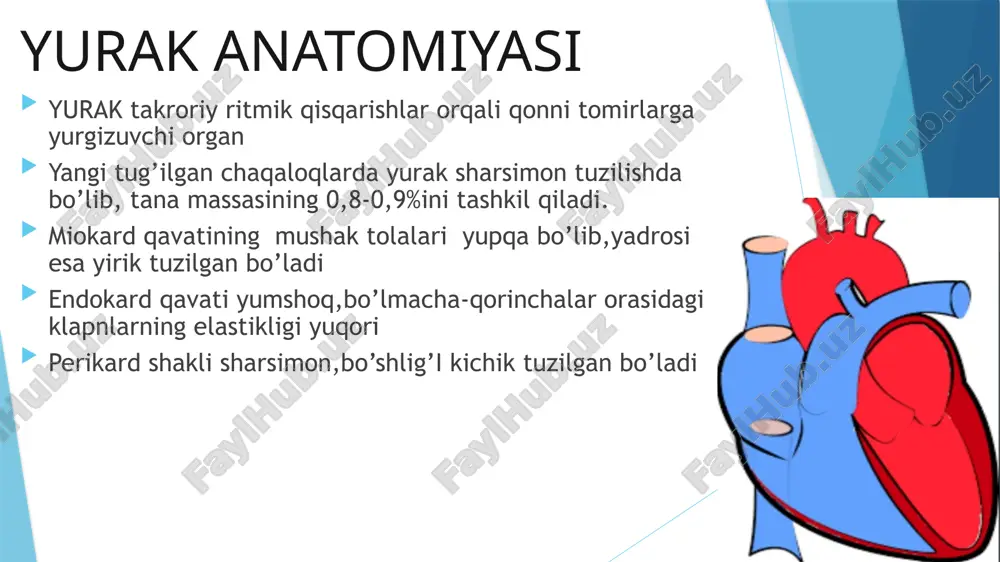 n aylanish doirasida bosim ortadi. tez holsizlanish dinamik holatda kuchayib boadigan hansirash yurak urishining kuchayishi teri rangining oqimtir rangga kirishi tana pastki qismining ko’karishi rivojlanishdan orqada qolish rentgenologik tekshirishda o‘pka tasvirining quyuqlashuvi, o‘pka arteriyasi va tarmoqlarining kengayishi qayd etiladi. yurakni zondlashda o‘pka arteriyasida bosimning ortishi, unda qonning kislorodga to‘yinish darajasining yuqoriligi qayd qilinadi. aortografiyada kontrast moddaning aortadan o‘pka arteriyasiga tushishi aniqlanadi. davolash faqat jarrohlik usuli: ochiq arterial yo‘lni bog‘lash yoki bog‘lab, so‘ng uni kesishdan iborat. bo’lmachalar orasidagi to’siq deffekti bu tug’ma yurak nuqsonida o’ng bo’lmacha bilan chap bo’lmacha orasida patologik aloqa bo‘ladi.bunda gemodinamianing buzilishi arterial qon venoz qon oqimiga o’tishi bilan xarakterlanadi. bu esa kichik qon aylanish doirasida gipervolemiyaga sabab bo’ladi. bola kata bo’lgan sayin o’pka gipertenziyasi xavfi ortib boradi. bo’lmachalararo to’siq defekti arteriya qoni chap bo’lmachadan o’ng bo’lmachaga o’tadi kichik qon aylanish doirasida gipertenziya to’sh suyagidan o’ng tomonda sistolik shovqin rentgenda o’pka surati kengayishi yurak soyasi o’ng yurak yarmi …