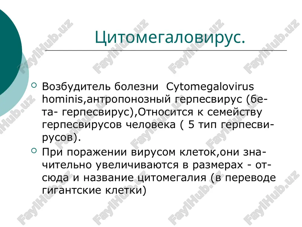 temperaturi tela i poyavlenie priznakov obshey intoksikatsii, oznobi, slabost, golovnaya bol, boli v mishtsax yavleniya bronxita. v otvet na pervichnoe vnedrenie razvivaetsya immunnaya perestroyka organizma. posle ostroy fazi v techenie mnogix nedel soxranyaetsya astenizatsiya, inogda vegetativno-sosudistie rasstroystva. mnojestvennoe porajenie vnutrennix organov. naibolee chasto tsmv-infektsiya proyavlyaetsya kak: orvi (ostraya respiratornaya virusnaya infektsiya). v etom sluchae bolnie jaluyutsya na slabost, obshee nedomoganie, bistruyu utomlyaemost, golovnie boli, nasmork, vospalenie i uvelichenie slyunnix jelez, s obilnim otdeleniem slyuni i belesovatimi naletami na desnax i yazike. generalizovannaya forma tsmv-infektsii s porajenie vnutrennix (parenximatoznix) organov. nablyudaetsya vospalenie pechenochnoy tkani, nadpochechnikov, selezenki, podjeludochnoy jelezi, pochek. eto soprovojdaetsya chastimi "besprichinnimi" pnevmoniyami, bronxitami, ploxo poddayushimisya antibiotikoterapii; otmechaetsya snijenie immunnogo statusa, umenshaetsya kolichestvo trombotsitov v perifericheskoy krovi. neredki porajenie sosudov glaza, stenok kishechnika, golovnogo mozga i perifericheskix nervov. uvelichenie okoloushnix i podchelyustnix slyunnix jelez, vospalenie sustavov, kojnaya sip. v redkix sluchayax nablyudaetsya lokalizovannaya forma s porajeniem mochepolovoy sistemi u jenshin …