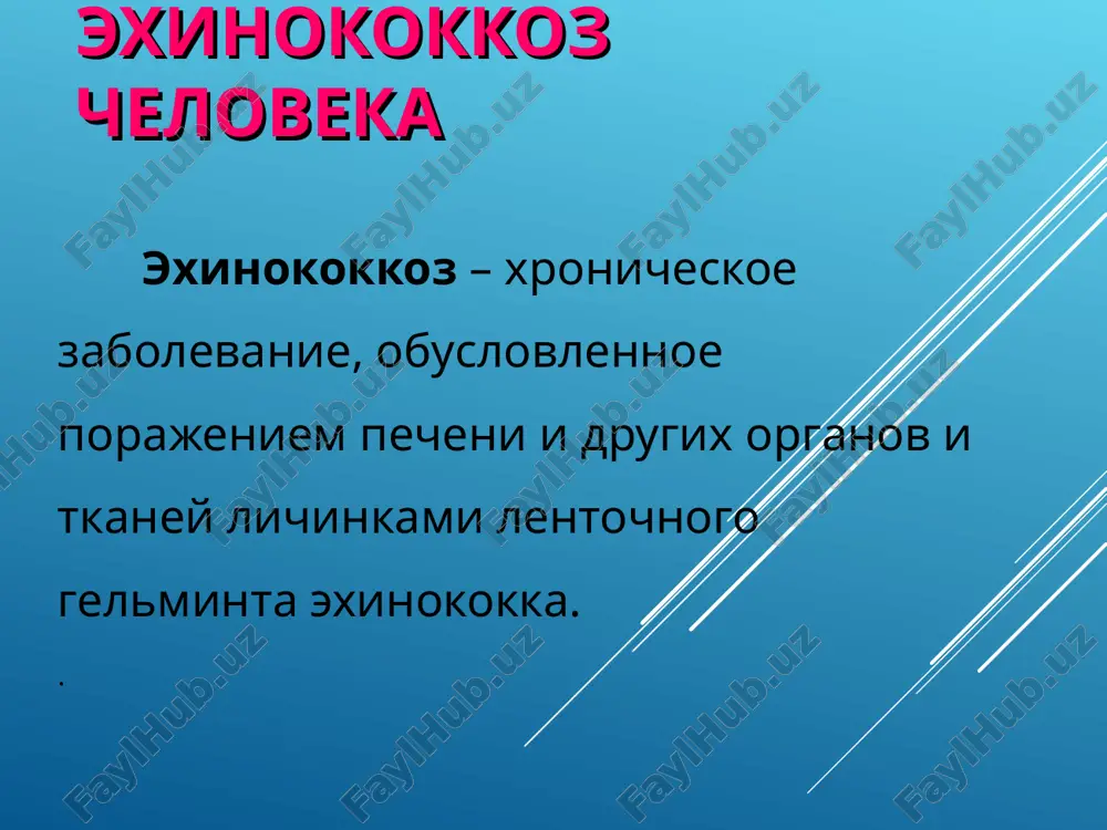 olee chasto lyudi trudosposobnogo vozrasta oslojneniya do 35%. letalnost ot 1% do 25% morfologiya polovozrelaya forma exinokokka imeet dlinu 2-6 mm, sostoit iz 3-4 chlenikov. skoleks voorujen dvumya ryadami kryuchkov (34-38) i imeet 4 prisoski. pervaya i vtoraya proglotidi ne imeyut polovogo apparata. tretya - germafroditnaya, poslednyaya – zrelaya, matka kotoroy soderjit do 5000 yaits s razvitimi onkosferami. proglotid s yaytsami exinokokk imeet nepryamoy jiznenniy tsikl i doljen razvivatsya so smenoy dvux xozyaev - promejutochnogo i okonchatelnogo. exinokokk v polovozreloy stadii jivet v tonkoy kishke, v nekotorix plotoyadnix jivotnix, a v stadii lichinki – v organax i tkanyax krupnogo i melkogo rogatogo skota i cheloveka. polovozrelie formi parazitiruyut v tonkoy kishke sobaki, koshki, volka, shakala, koyota, risi, gieni i lva. promejutochnimi xozyaevami exinokokka yavlyayutsya ovtsi, buyvoli, verblyudi, loshadi, severnie oleni, svini, nekotorie sumchatie, belki, zaytsi, v tom chisle i chelovek. epidemiologiya osnovnoy istochnik invazii — domashnie sobaki, reje —volki, shakali. …
