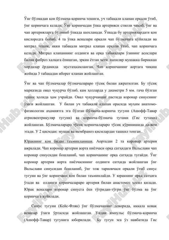xlanadi. o'pkada bu arteriyalardagi qon kislorodga boyib, 4 ta o'pka venalari orqali chap bo'lmachaga qo'yiladi va mitral teshik, ikki tabaqali mitral klapan orqali o'tib, chap qorinchaga keladi. mitral klapanning oldingi va orqa tabaqalari o'zining asoslari bilan fibroz xalqaga yopishgan, erkin yotgan cheti papilyar mushakka birikkan xordalar yordamida mustahkamlangan. chap qorinchaning aortaga chiqish joyida 3 tabaqadan iborat klapan joylashgan. o'ng va chap bo'lmachalar bo'lmachalararo to'siq bilan ajratilgan. bu to'siq markazida oval chuqurcha bo'lib, kam hollarda u diametri 5 mm. gacha bo'lgan teshik holida ham uchraydi. oval chuqurchaning pastida koronar sinusning o'zagi joylashgan. u bilan uch tabaqali klapan orasida muhim anatomo-fiziologik ahamiyatga ega bo'lgan bo'lmacha-qorincha tuguni (ashoff-tavar atrioventrikulyar tuguni) va qorincha-bo'lmacha tutami (gis tutami) joylashgan. bo'lmachalararo to'siq qorinchalararo to'siq ko'rinishida da-vom etadi. u 2 qismdan: mushak va membranoz qismlardan tashkil topgan. yurakning qon bilan ta'minlanishi. aortadan 2 ta koronar arteriya ajraladi. chap koronar arteriya aorta piyozchasi orqa sathidagi valslavi chap koronar sinusidan …