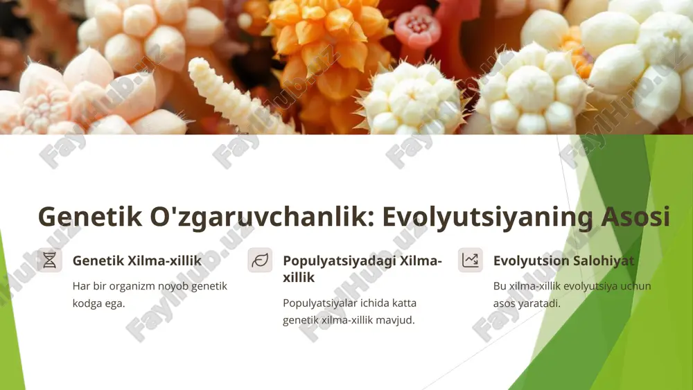 ndislik kasalliklarni davolash, qishloq xo'jaligini yaxshilash. bioinformatika genetik ma'lumotlarni tahlil qilish va modellashtirish. populyatsion genetika turlar xilma-xilligini saqlash, evolyutsion jarayonlarni tushunish. 8 etiboringiz uchun rahmat image1.png image2.png image3.png image4.png image5.png image6.png image7.png image8.png image9.png image10.png image11.png image12.png image13.png image14.png image15.png image16.png image17.png
